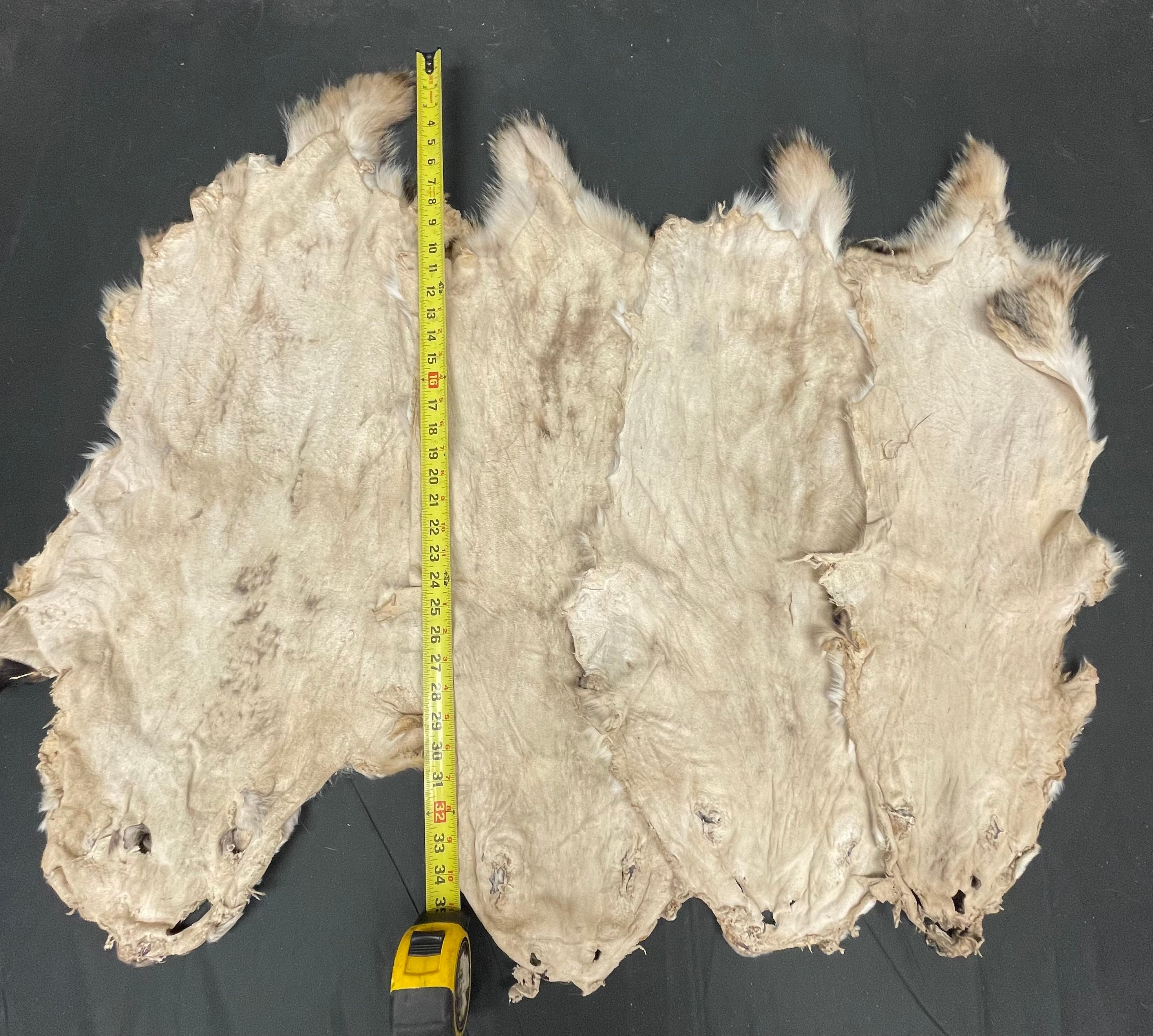 #2 Grade Pale Badger Pelts – Open Skinned & Flat | Natural Fur Craft, Wall Hanger, Rug Supply
