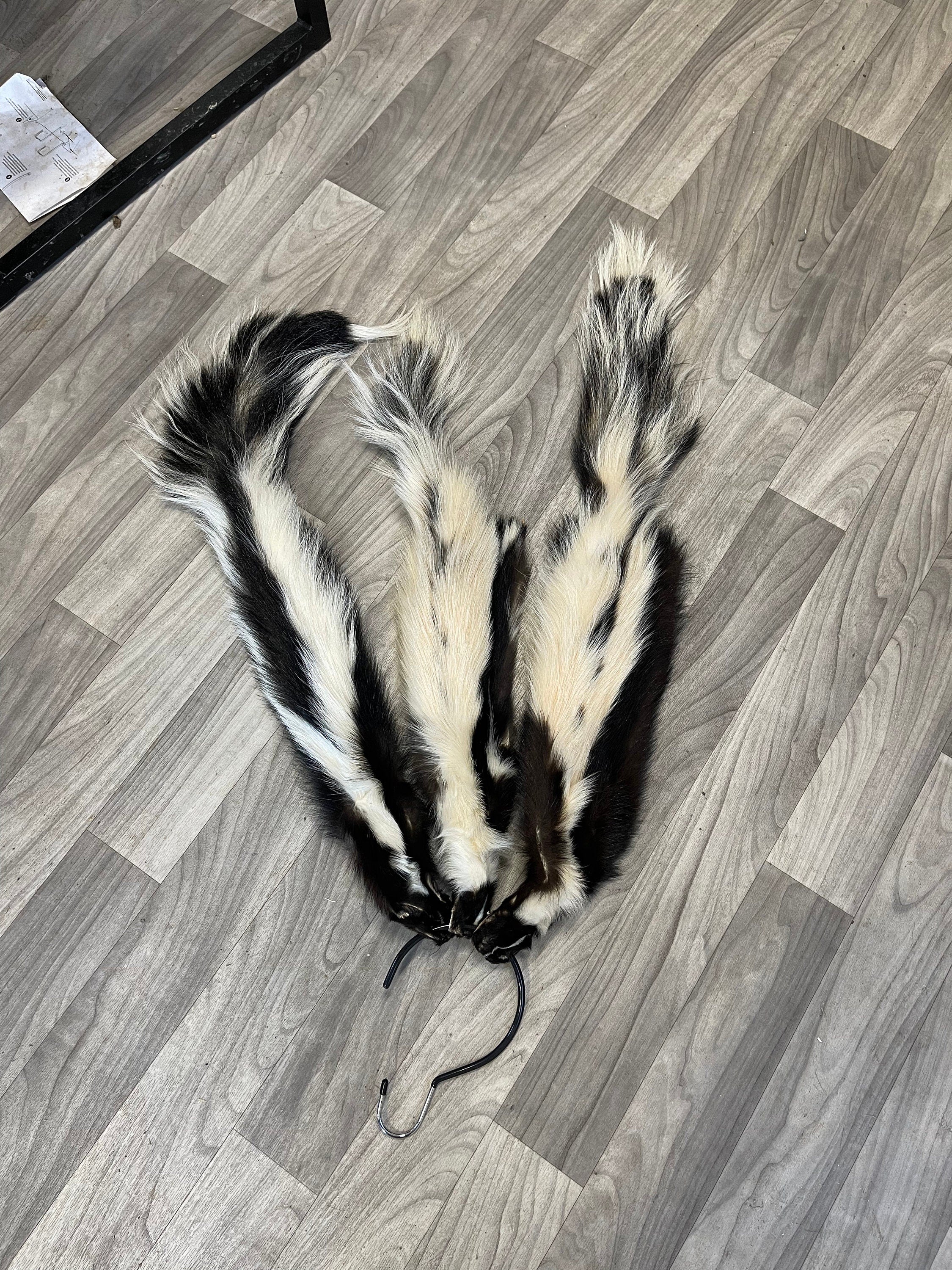 Tanned skunk hide Real fur ethically sourced fur skunk pelt fly tying fur craft