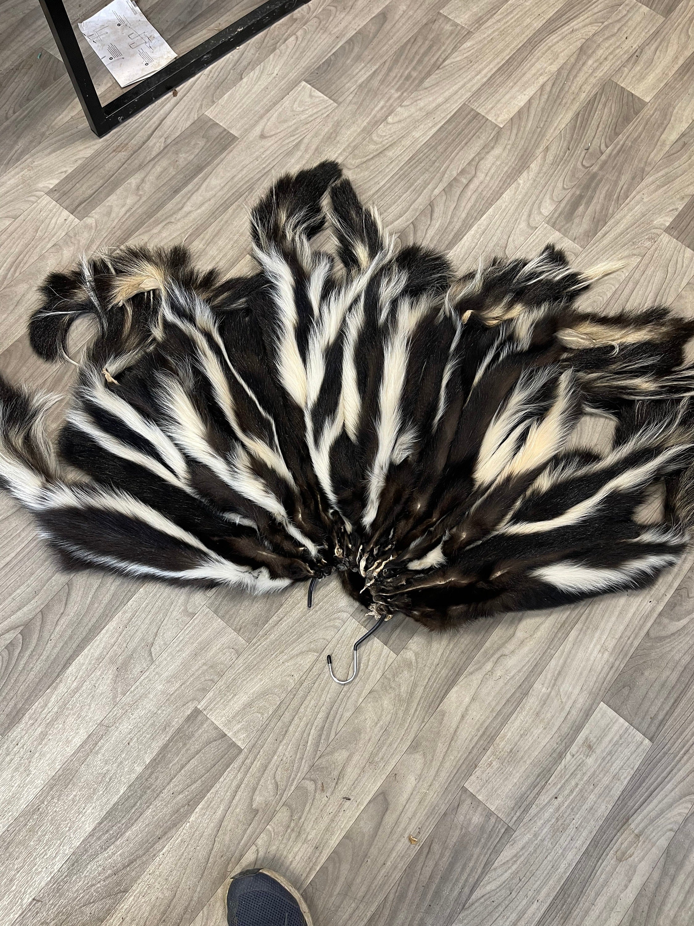 Tanned skunk hide Real fur ethically sourced fur skunk pelt fly tying fur craft