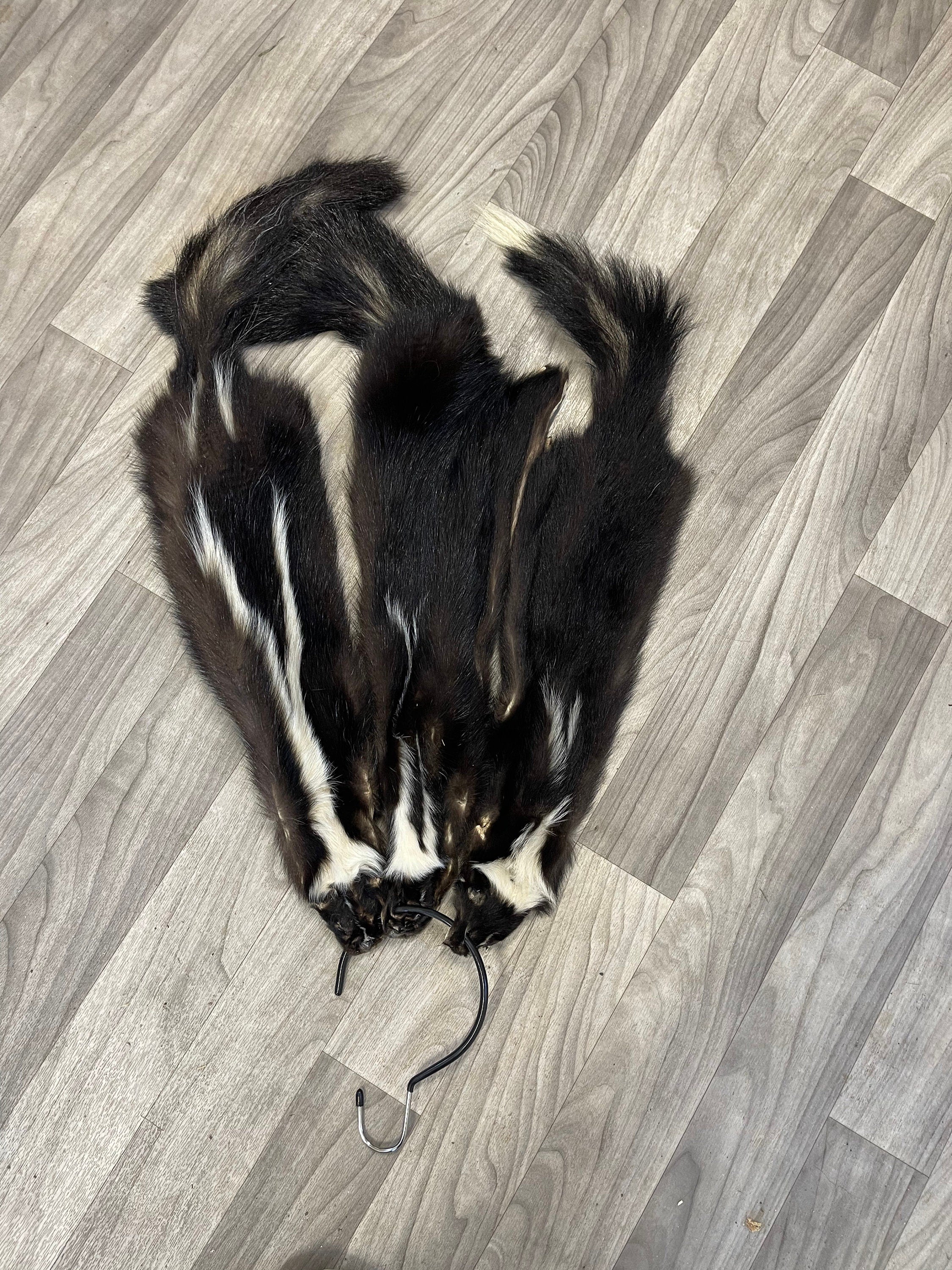 Tanned skunk hide Real fur ethically sourced fur skunk pelt fly tying fur craft