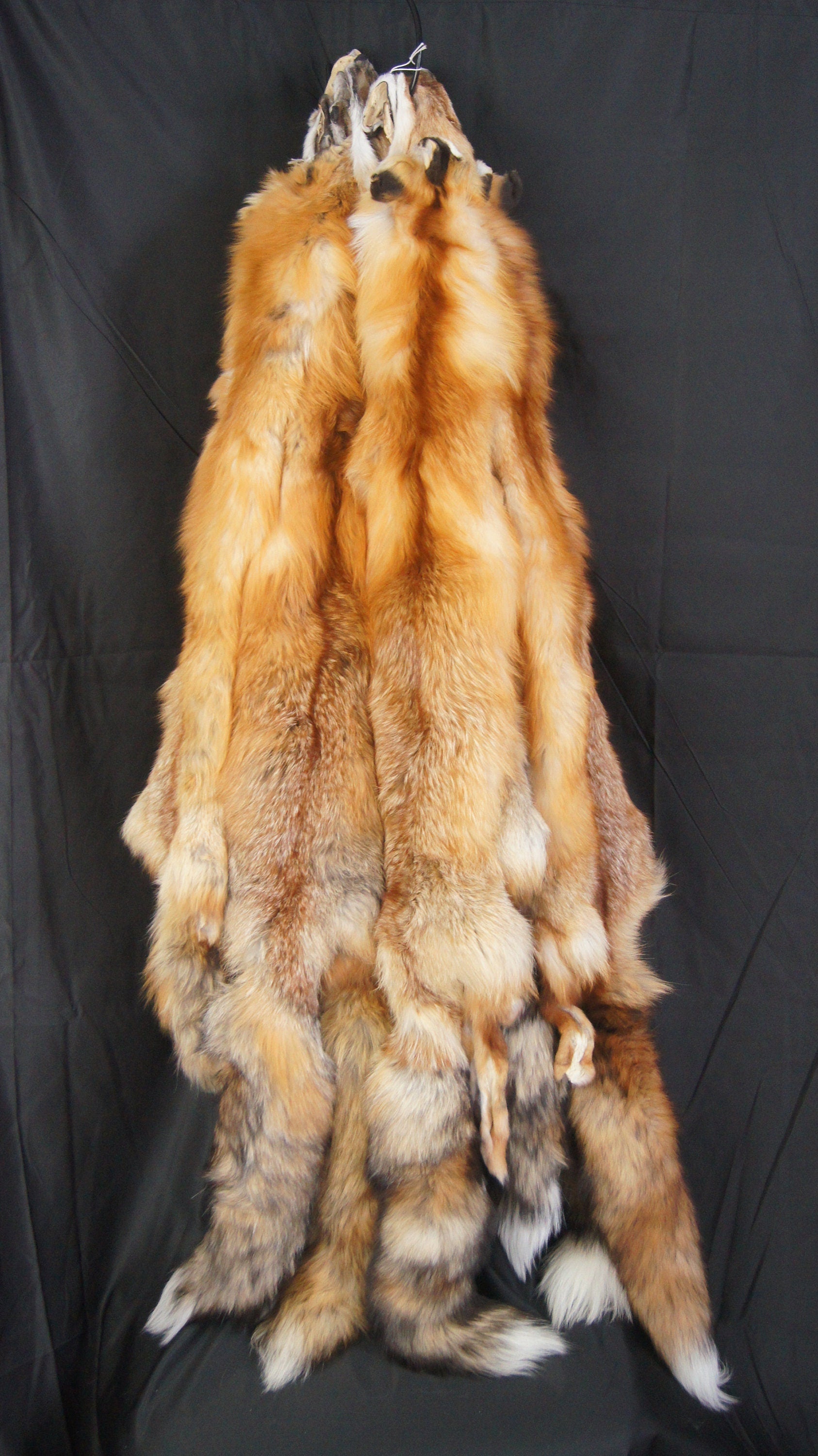 Tanned red fox professional soft tanned silky fur
