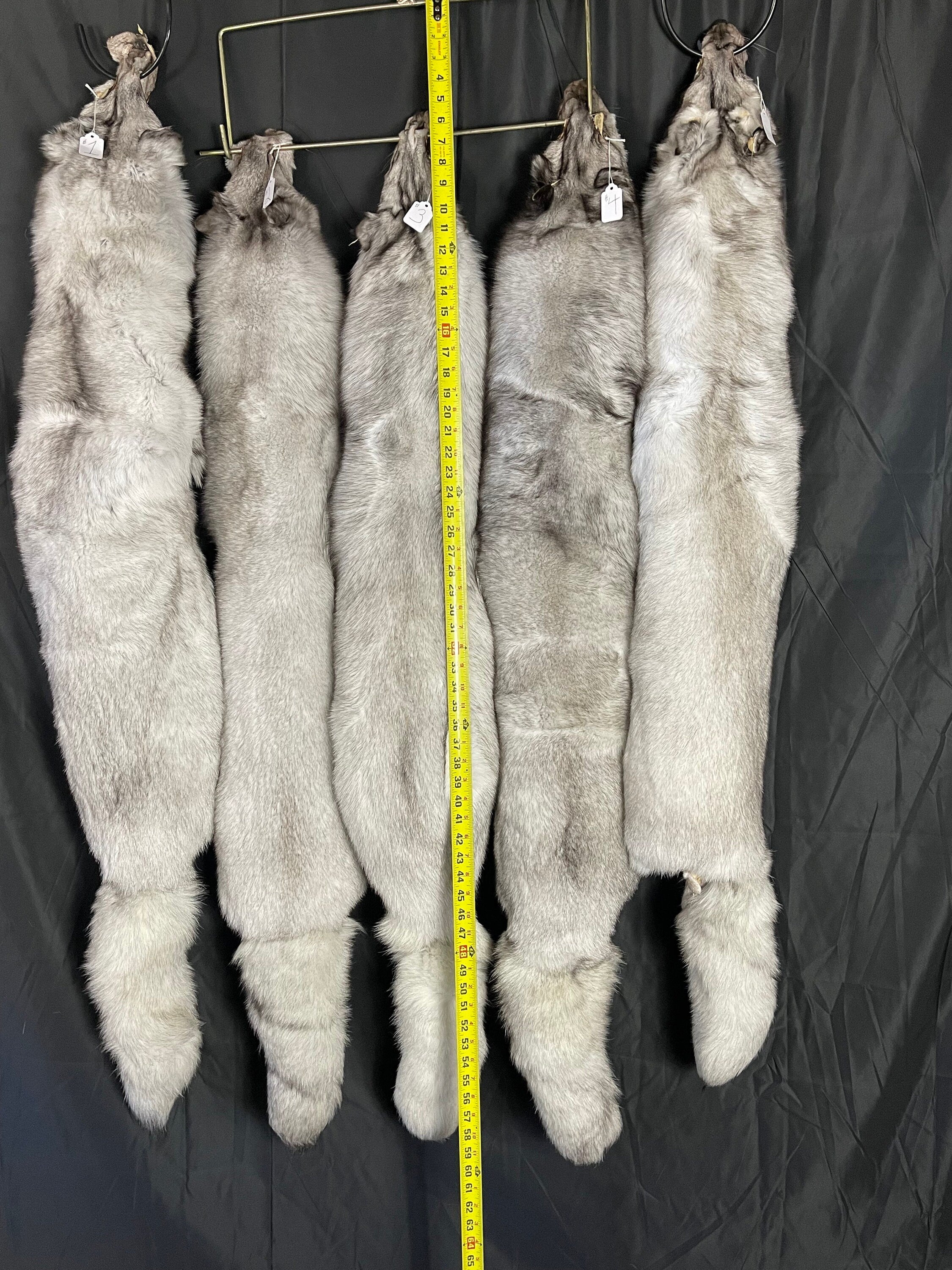 Tanned fox Blue fox soft tanned 3xl real fur