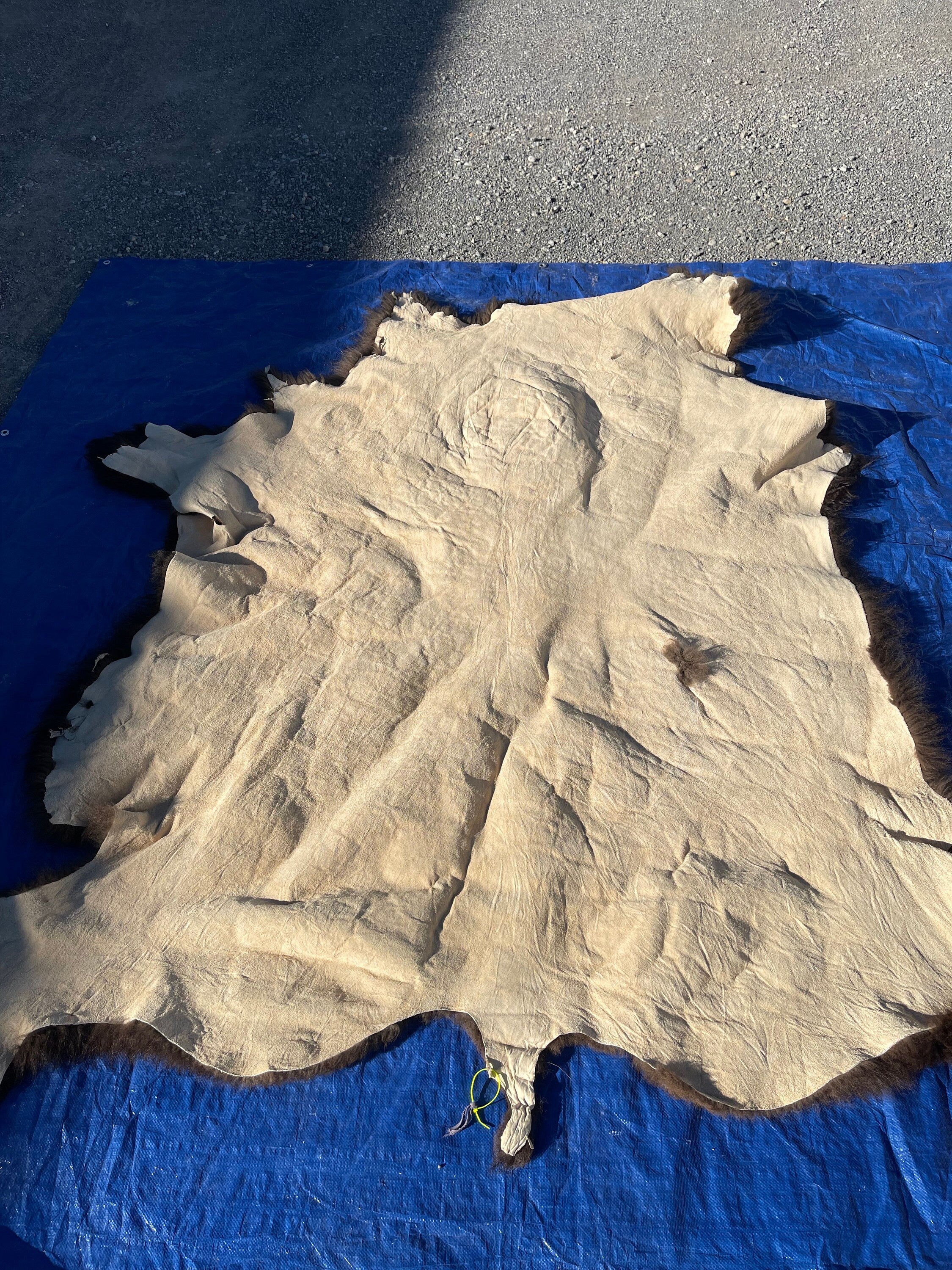 Craft grade Buffalo hide rug soft tanned