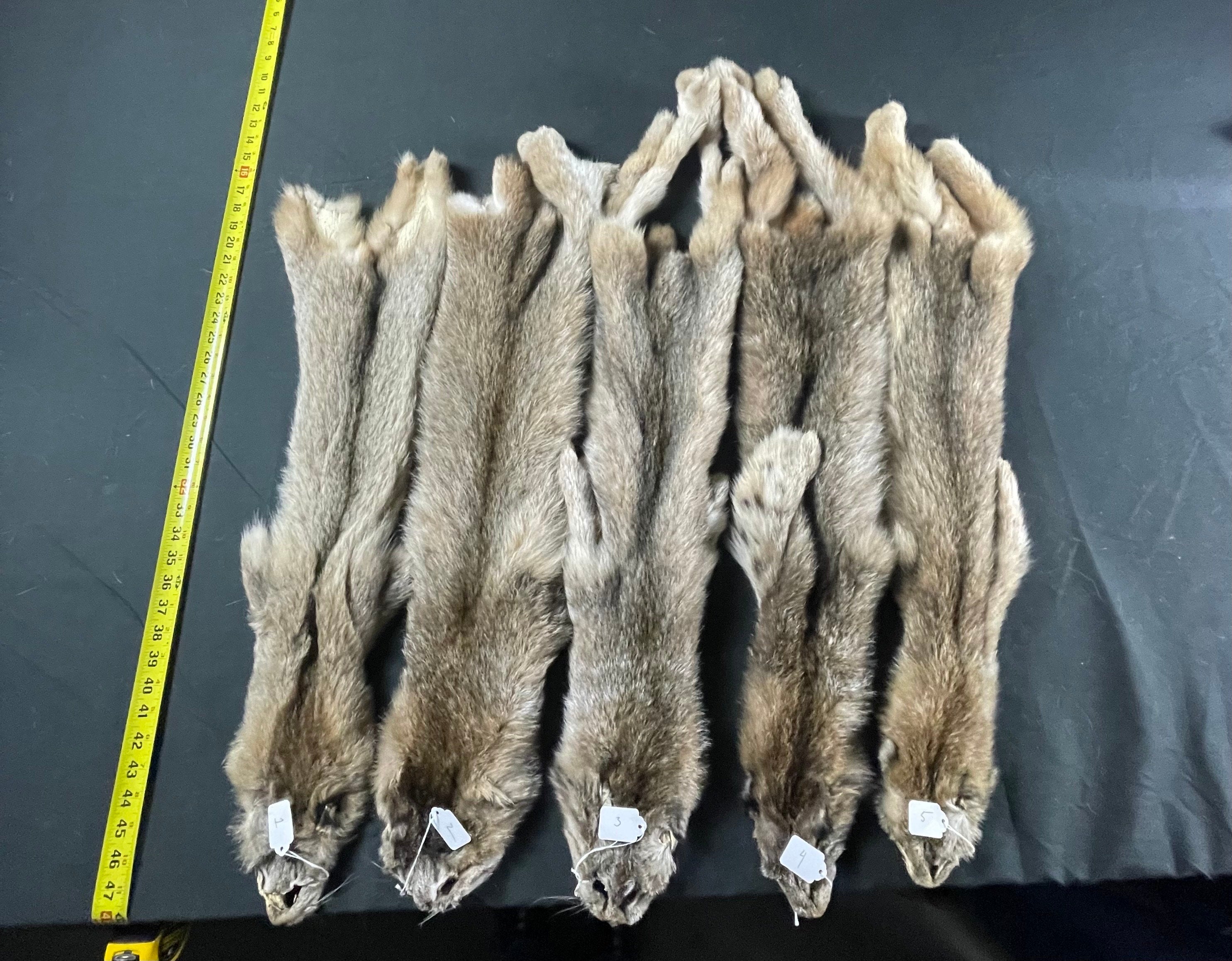 Tanned Lynx soft tanned hides medium