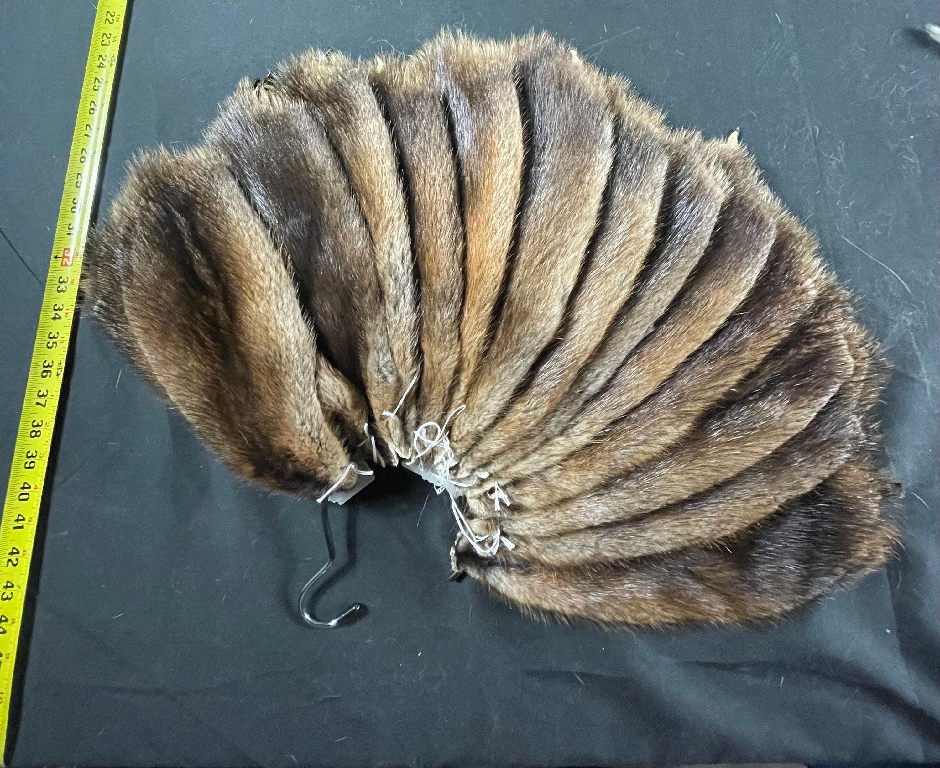 Tanned muskrat hide. Soft tanned great quality XL