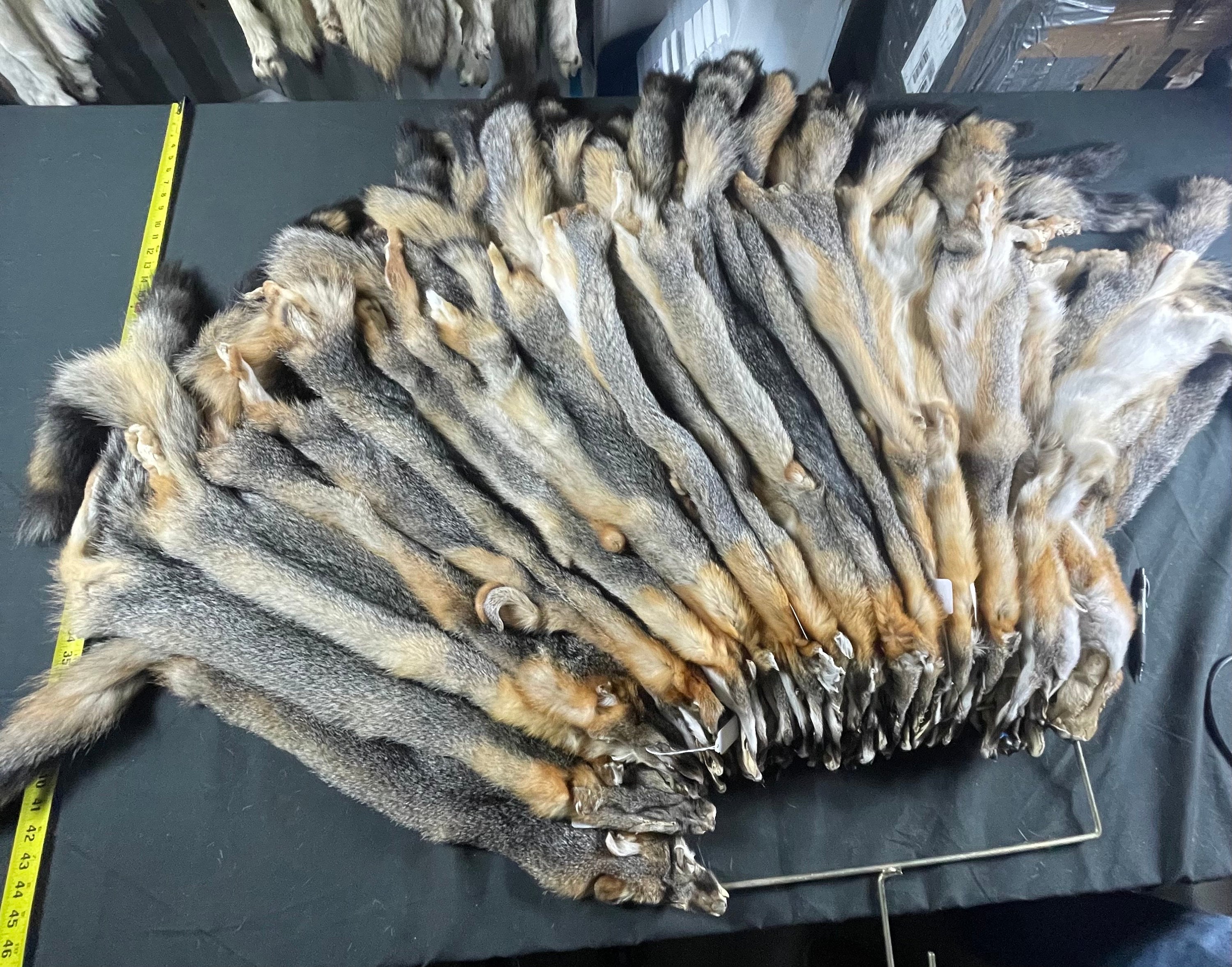 Fox fur tanned real fur grey fox pelt fur wallhanger decor