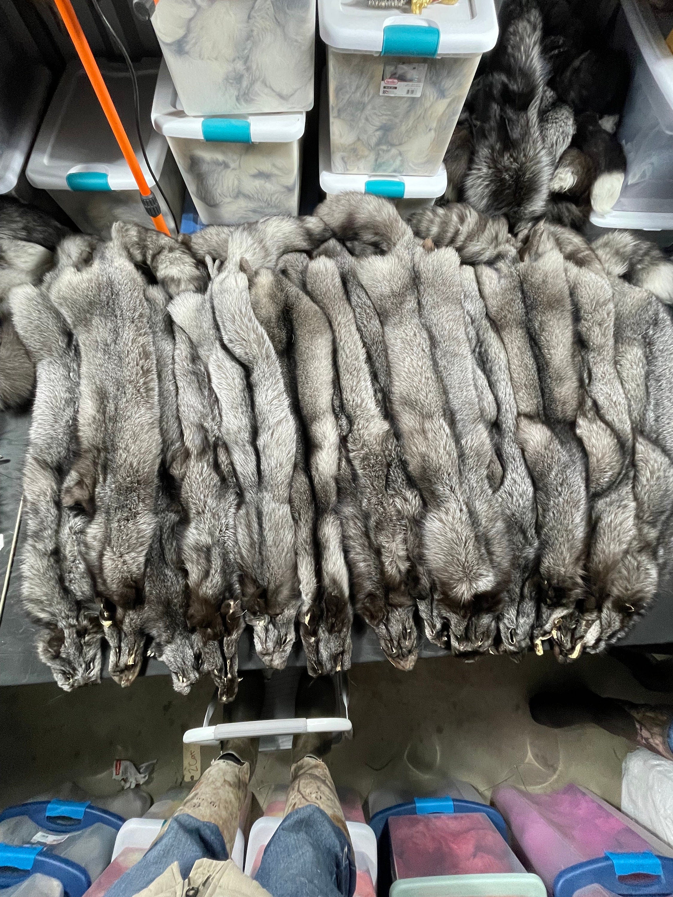 Tanned fox Blue Frost fox soft tanned 3xl real fur