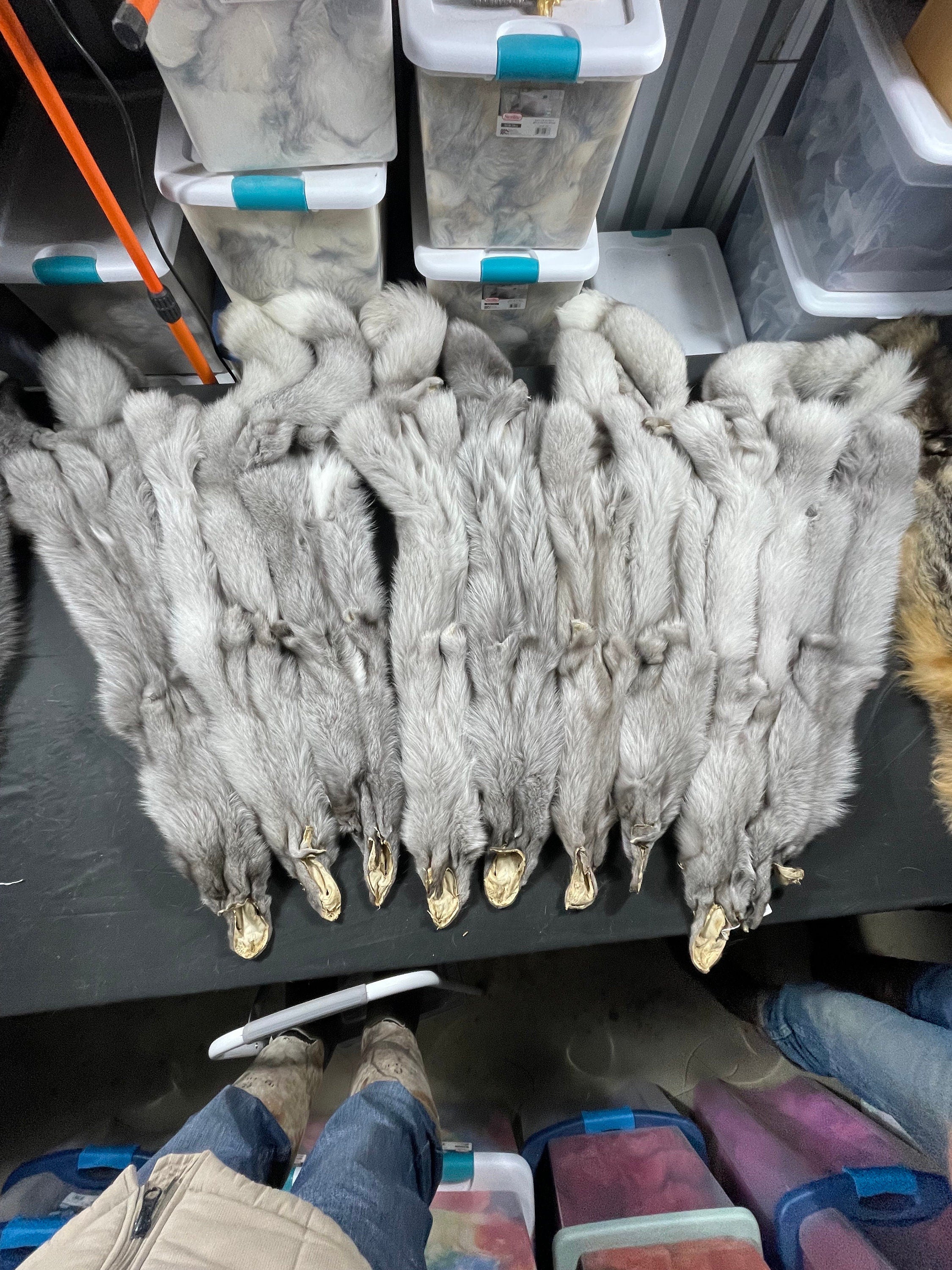 Tanned fox sapphire frost fox soft tanned 2xl/xl real fur