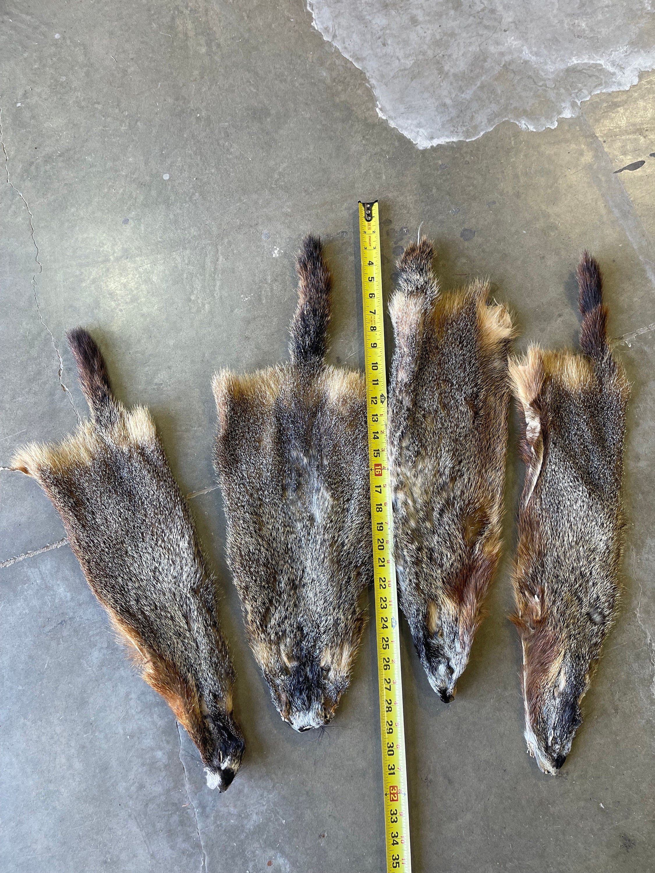 Tanned marmot rockchuck professional soft tanned fur