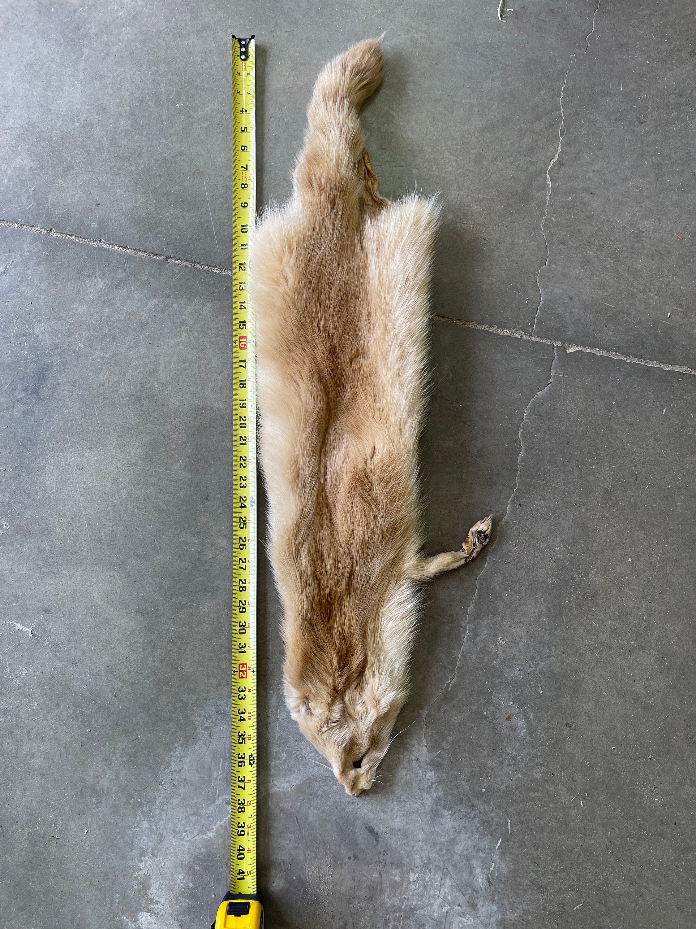 premium soft tanned blond raccoon hide with feet