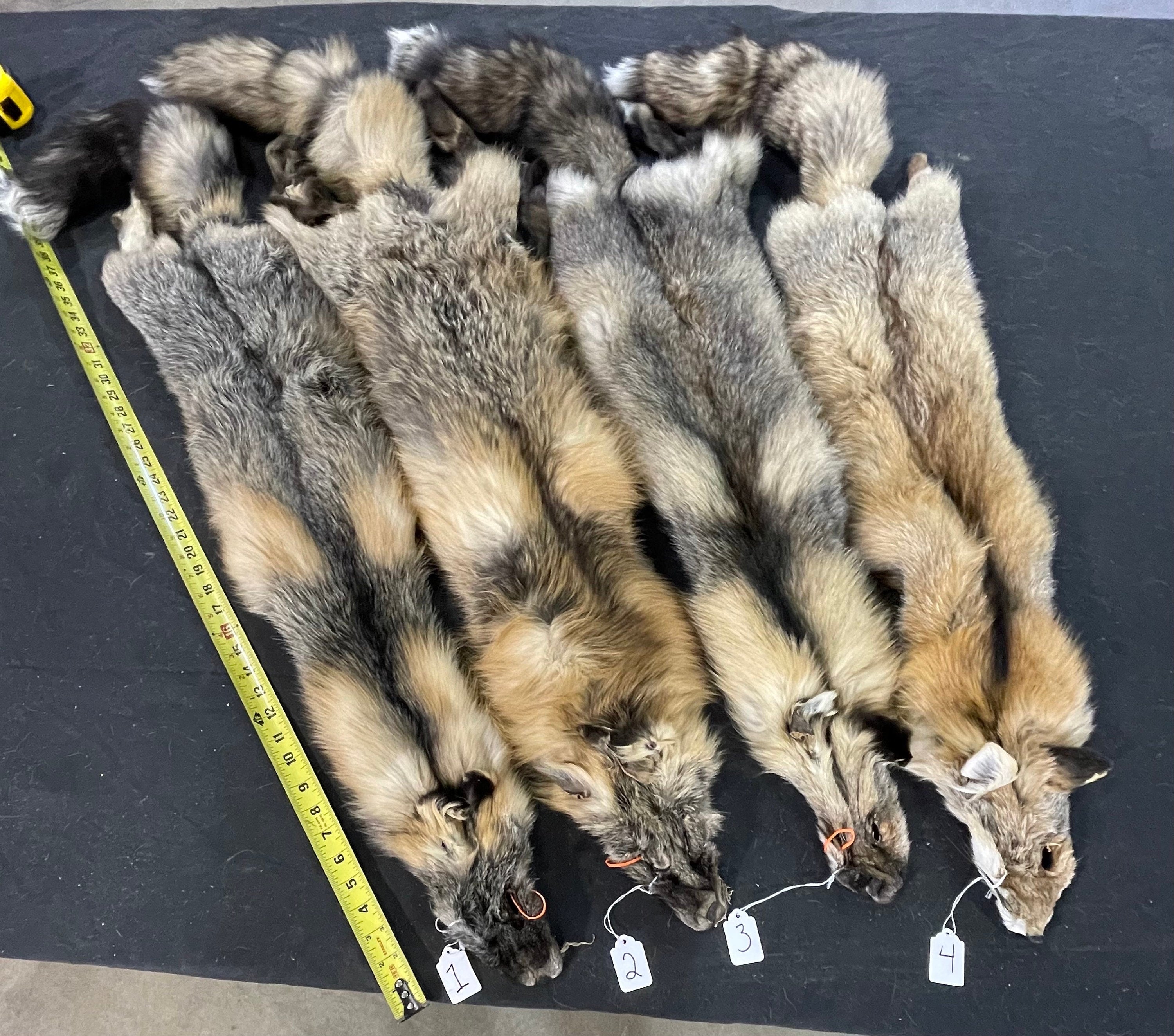 Premium Tanned wild cross fox soft tanned. You pick