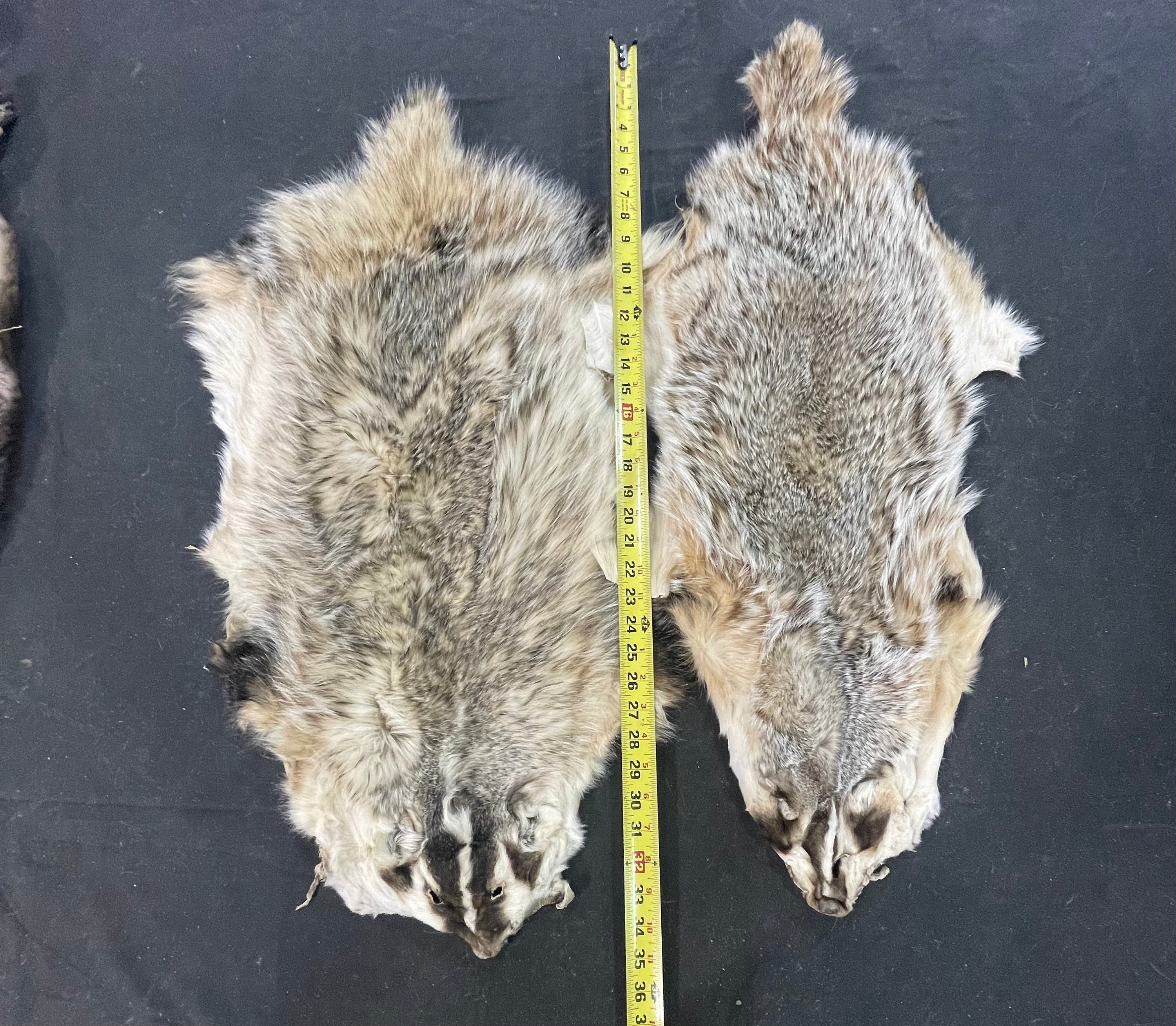 Tanned badger soft tanned hides