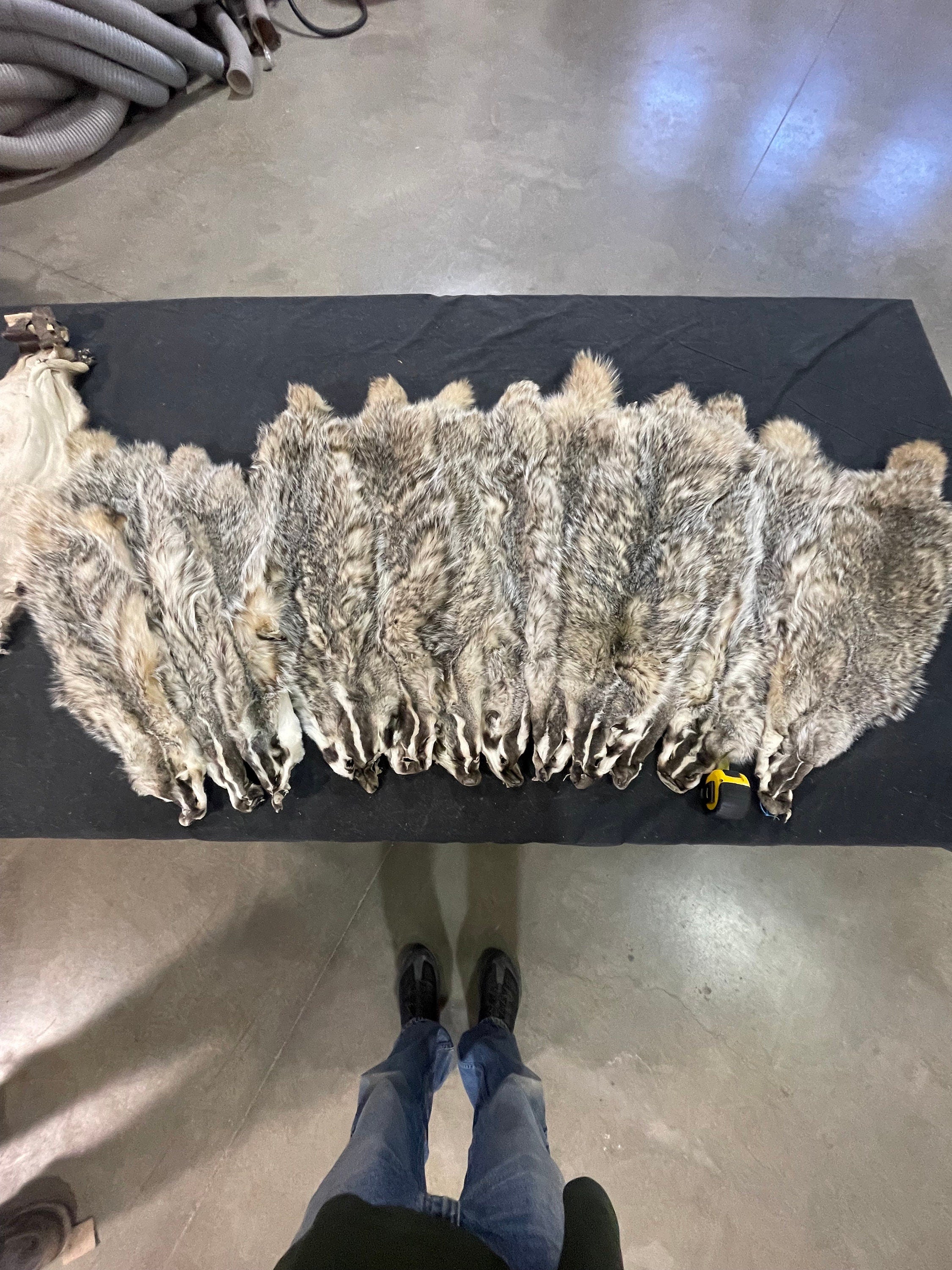 Tanned badger soft tanned hides Prime heavy fur real fur gift idea