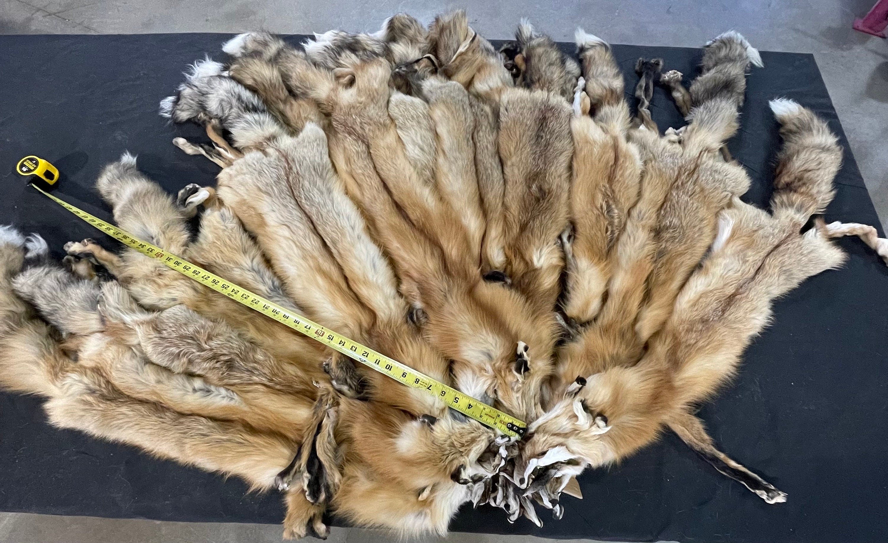 Tanned red fox professional soft tanned silky fur with feet