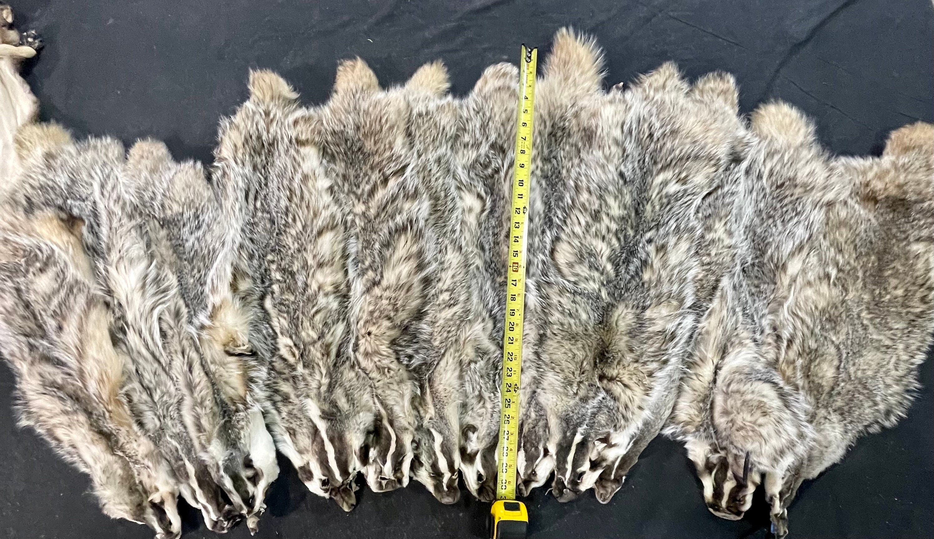 Tanned badger soft tanned hides Prime heavy fur real fur gift idea