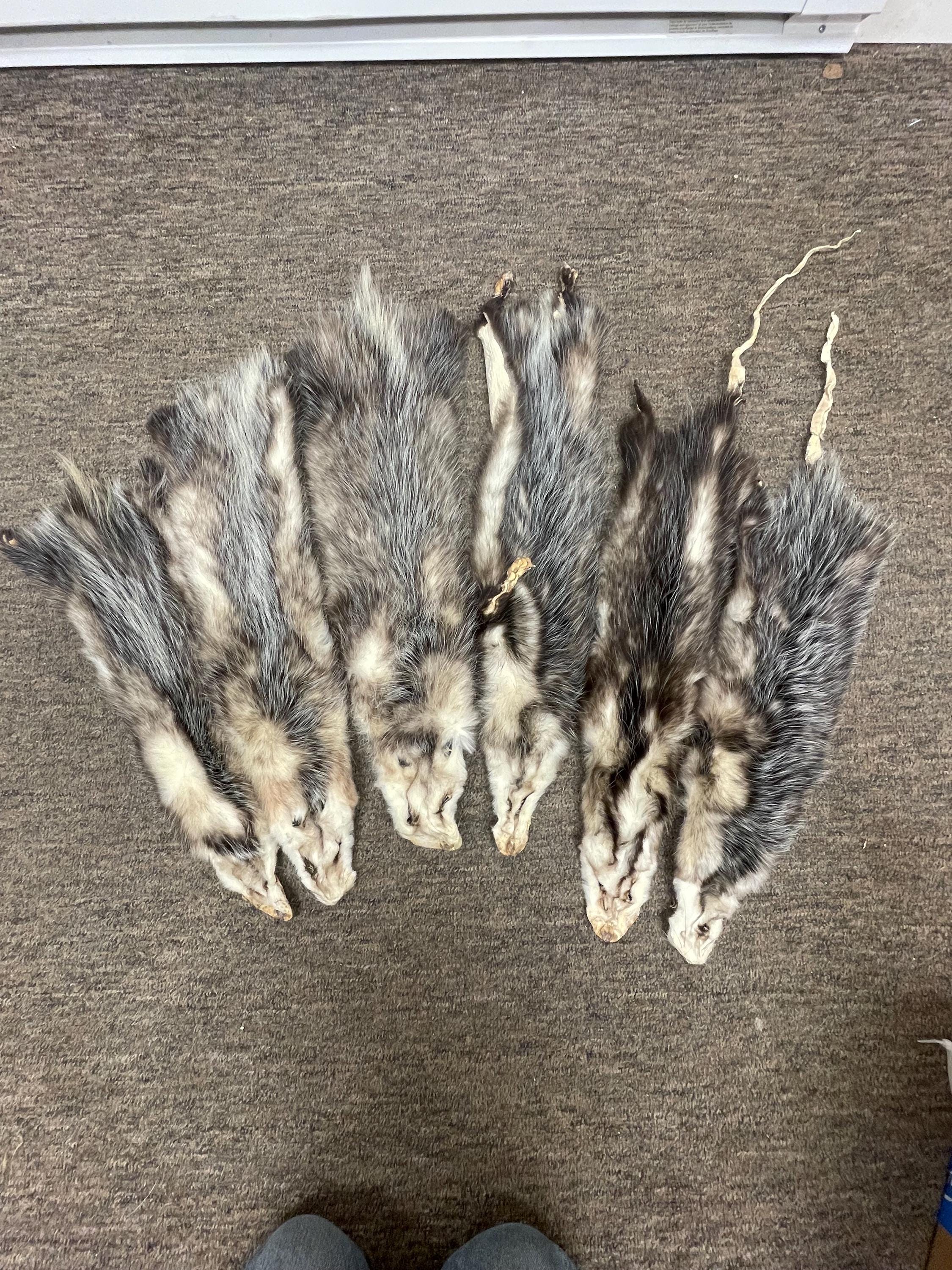 Opossum garment tanned hide