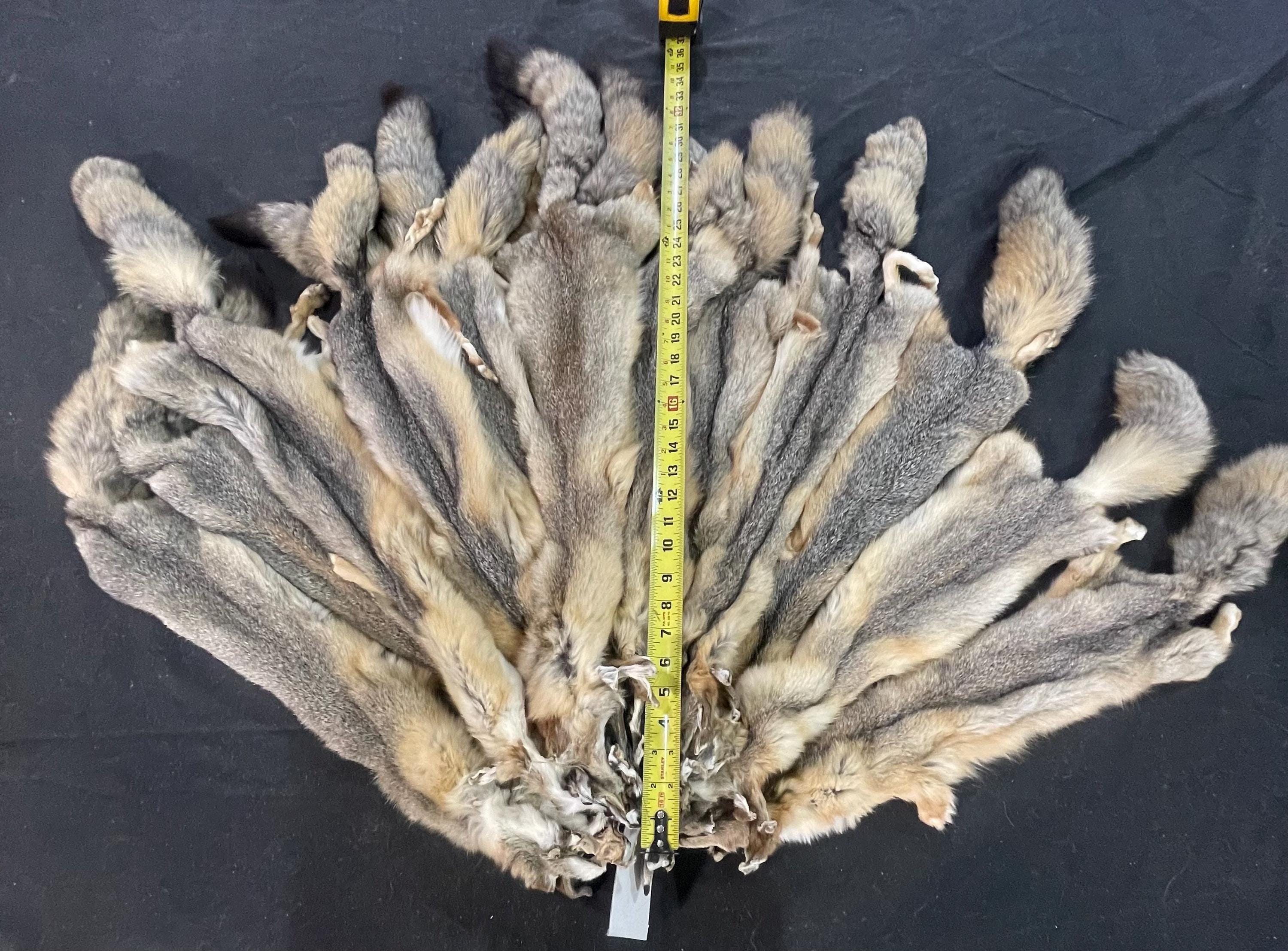 Tanned fox professional soft tanned swift fox silky fur real fur ethically sourced fur