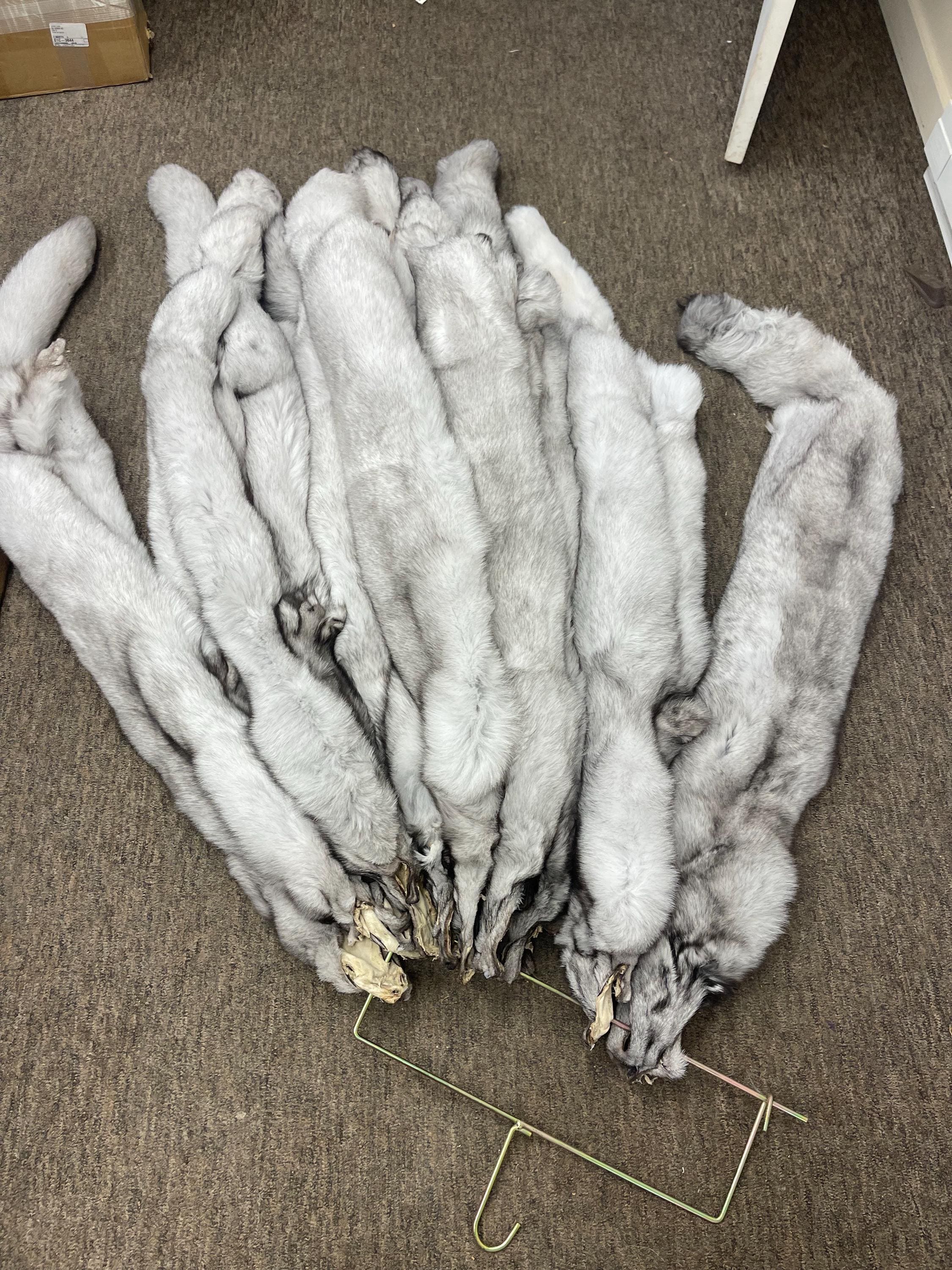 Tanned fox Blue fox soft tanned 3xl real fur