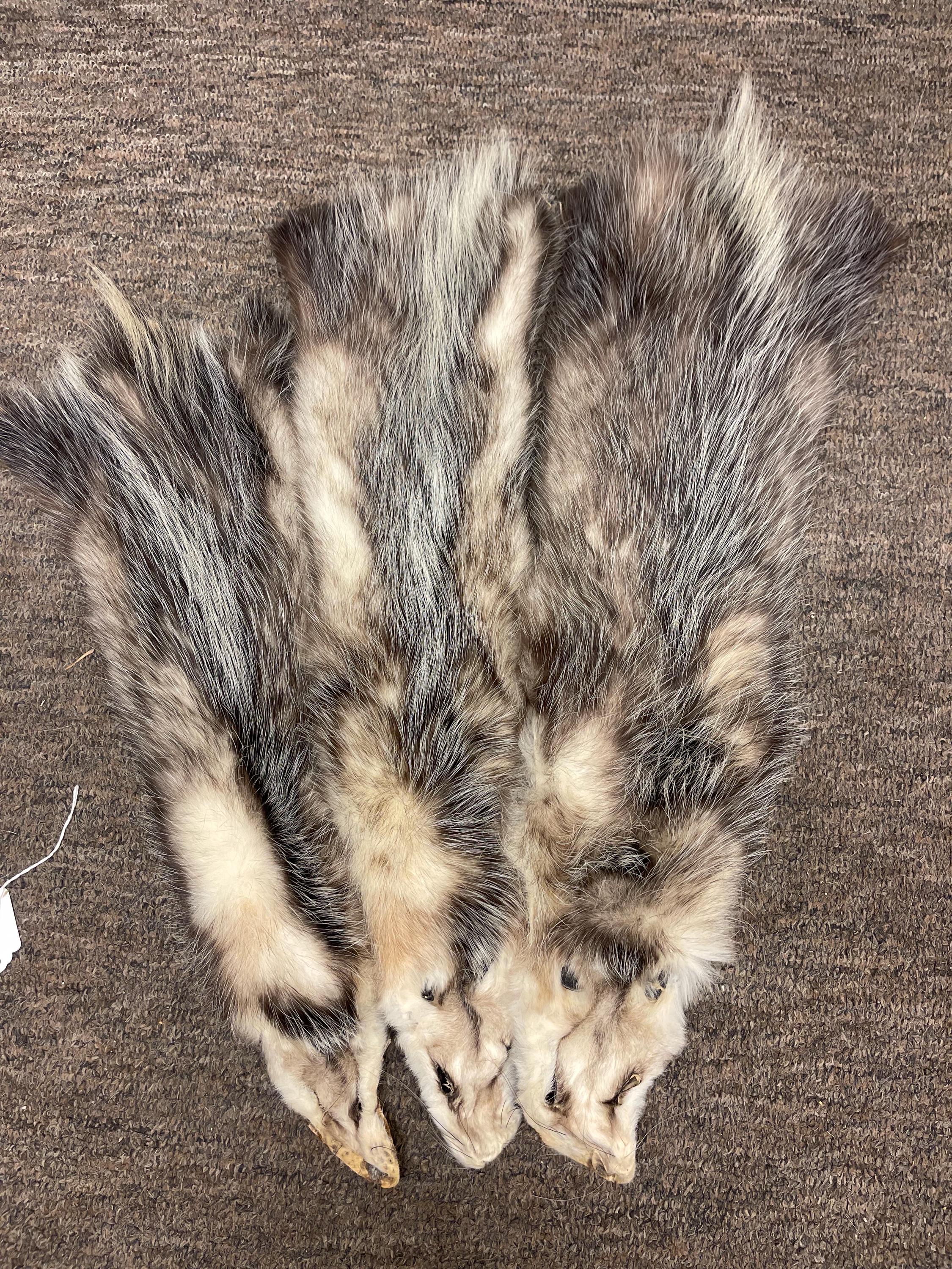 Opossum garment tanned hide