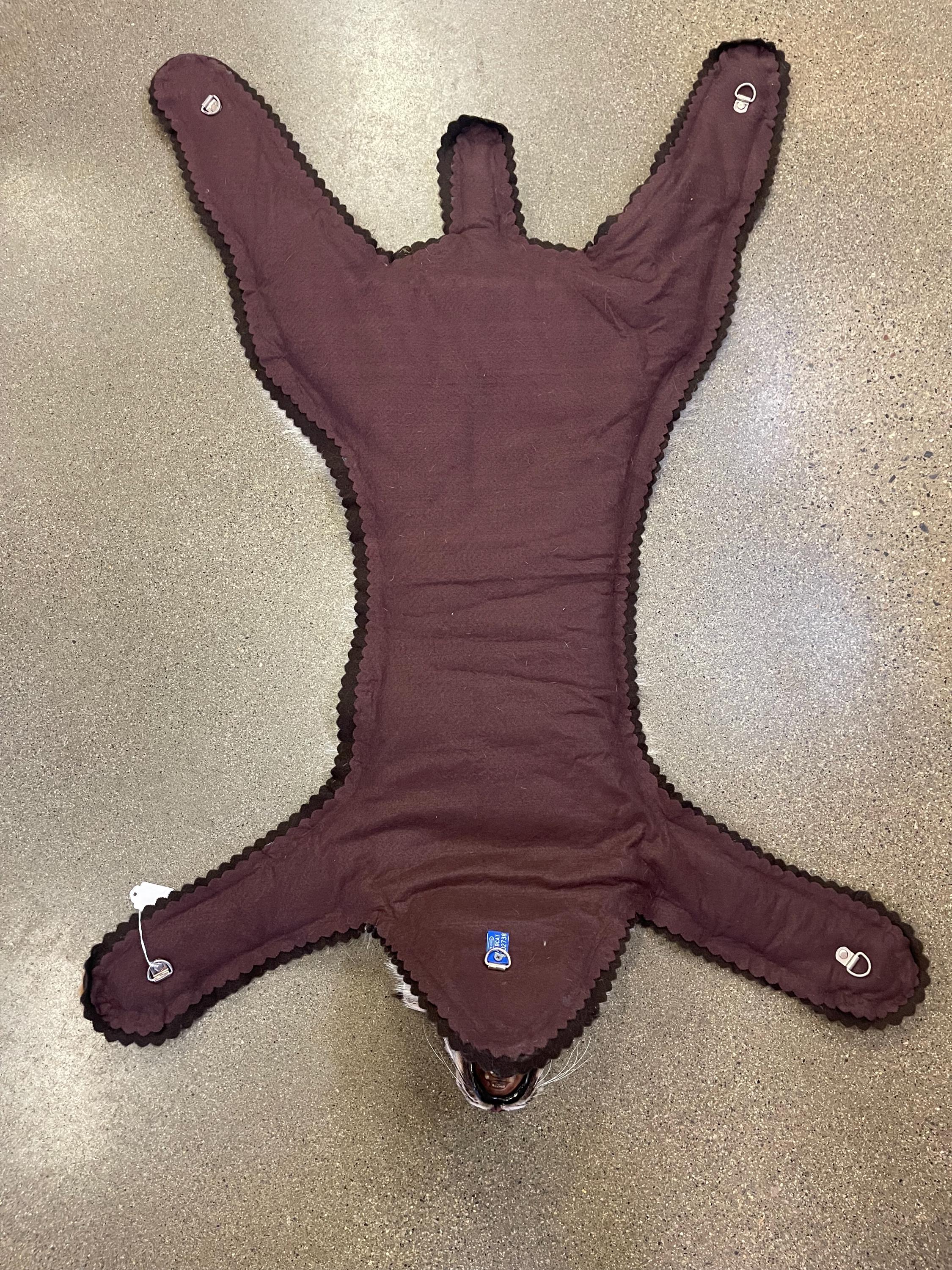 Bobcat rug real bobcat fur taxidermy