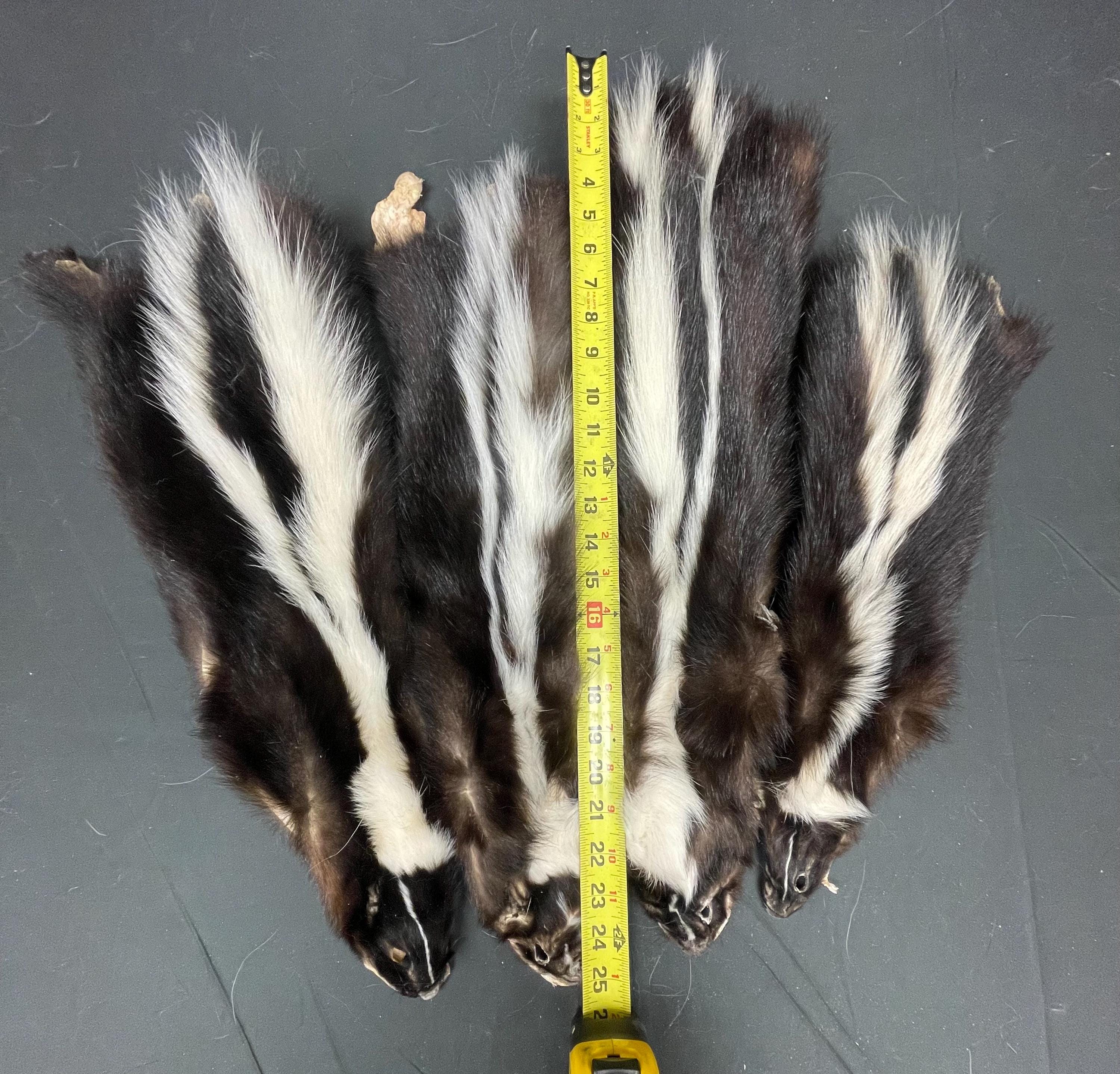 Tanned skunk hide Real fur ethically sourced fur skunk pelt fly tying fur craft