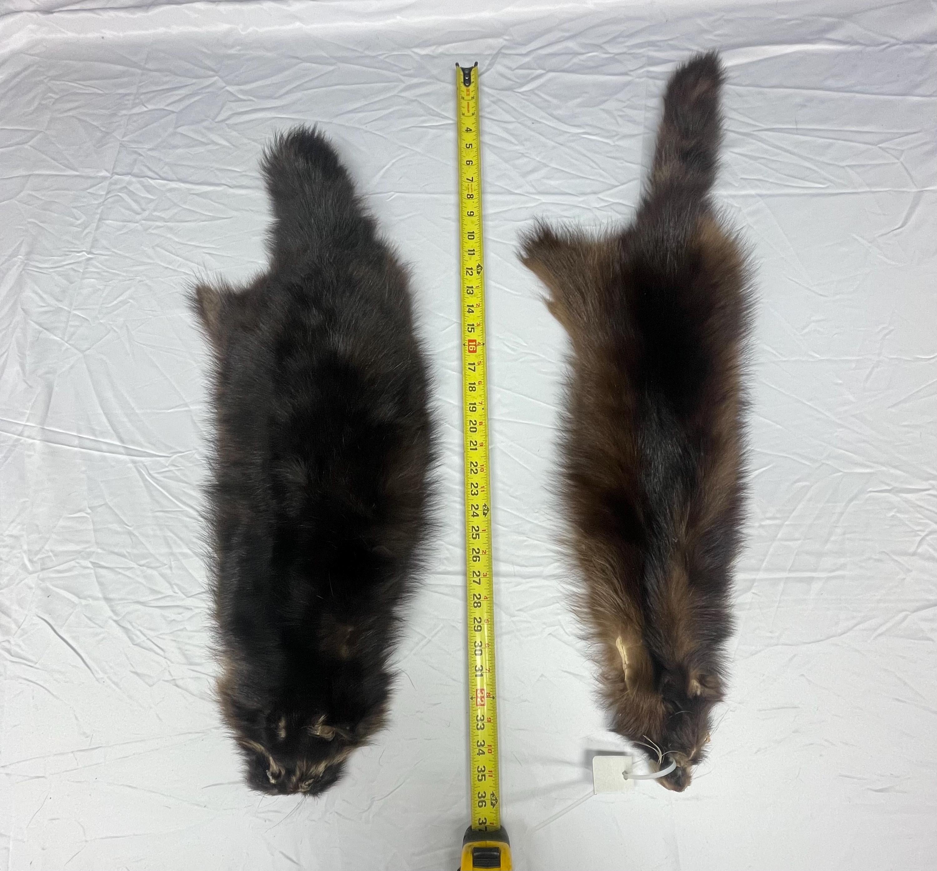 Raccoon pelt fisher raccoon hide tanned real fur