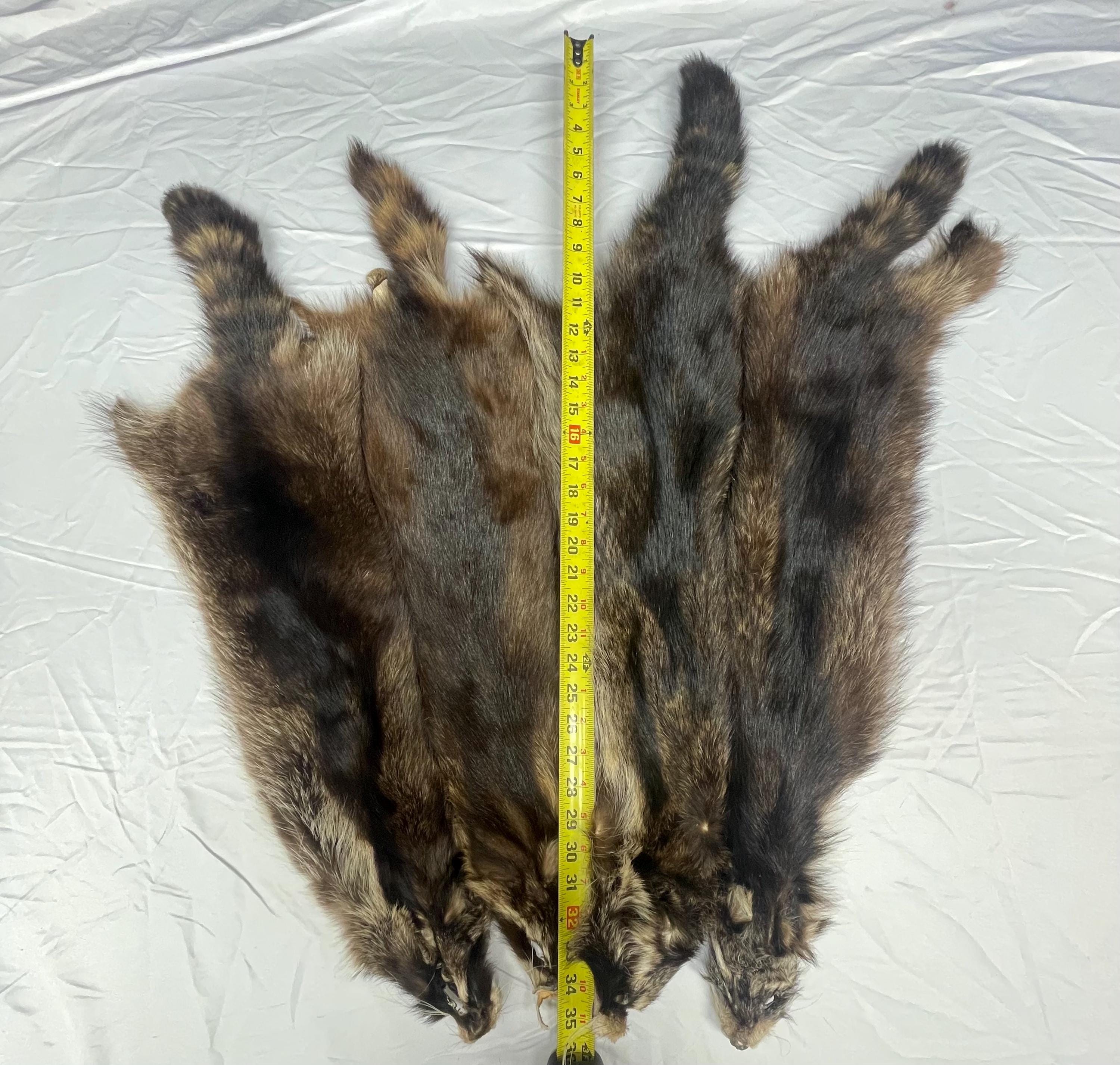 Raccoon pelt black raccoon hide tanned real fur