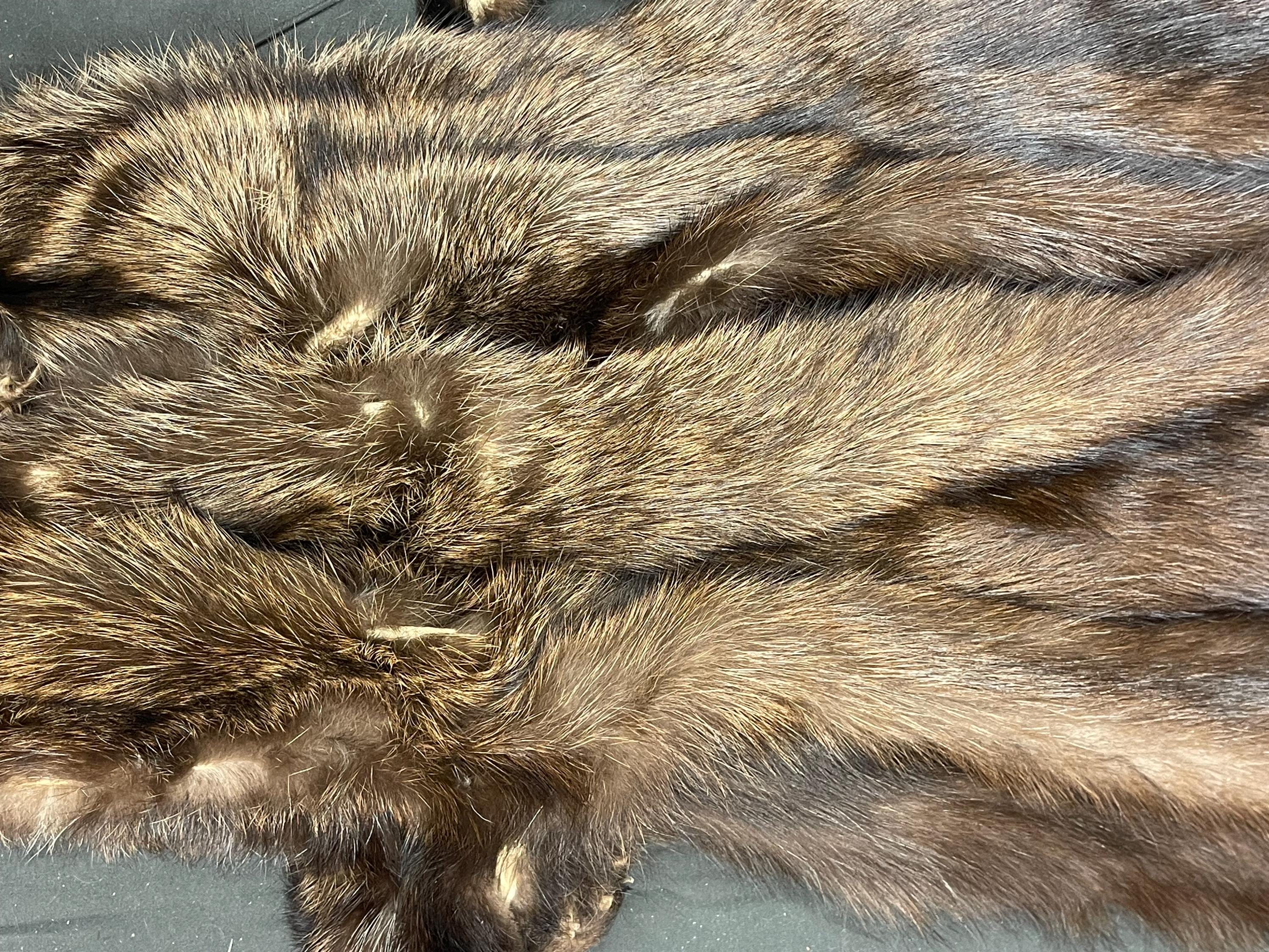 Tanned Fisher pelt professionally soft tanned real fur Fisher w/ft ethically sourced fur