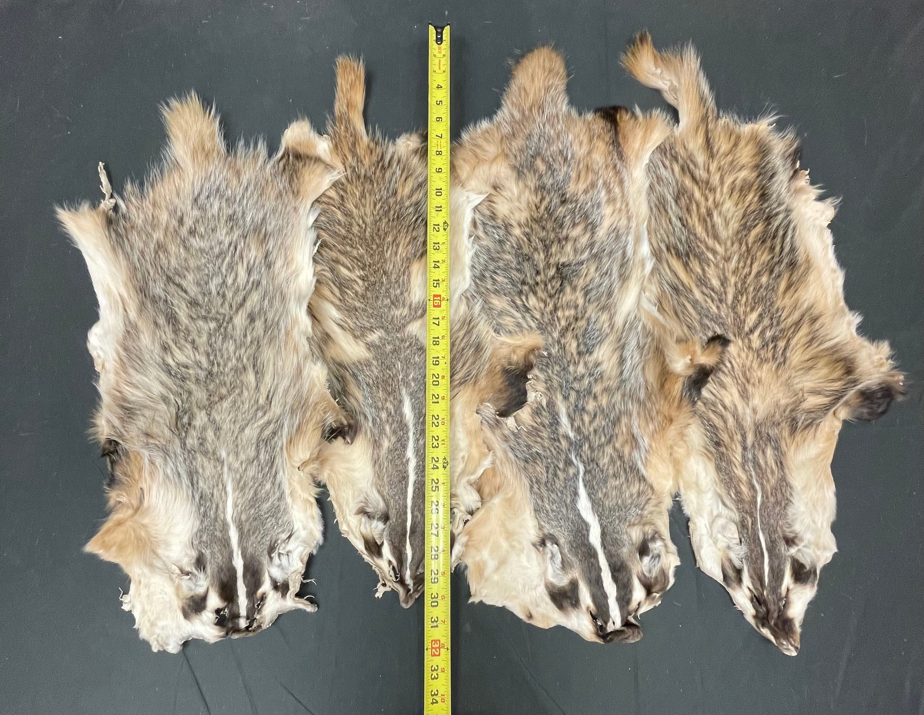 #2 Grade Dark Badger Pelts – Open Skinned & Flat | Natural Fur Craft, Wall Hanger, Rug Supply