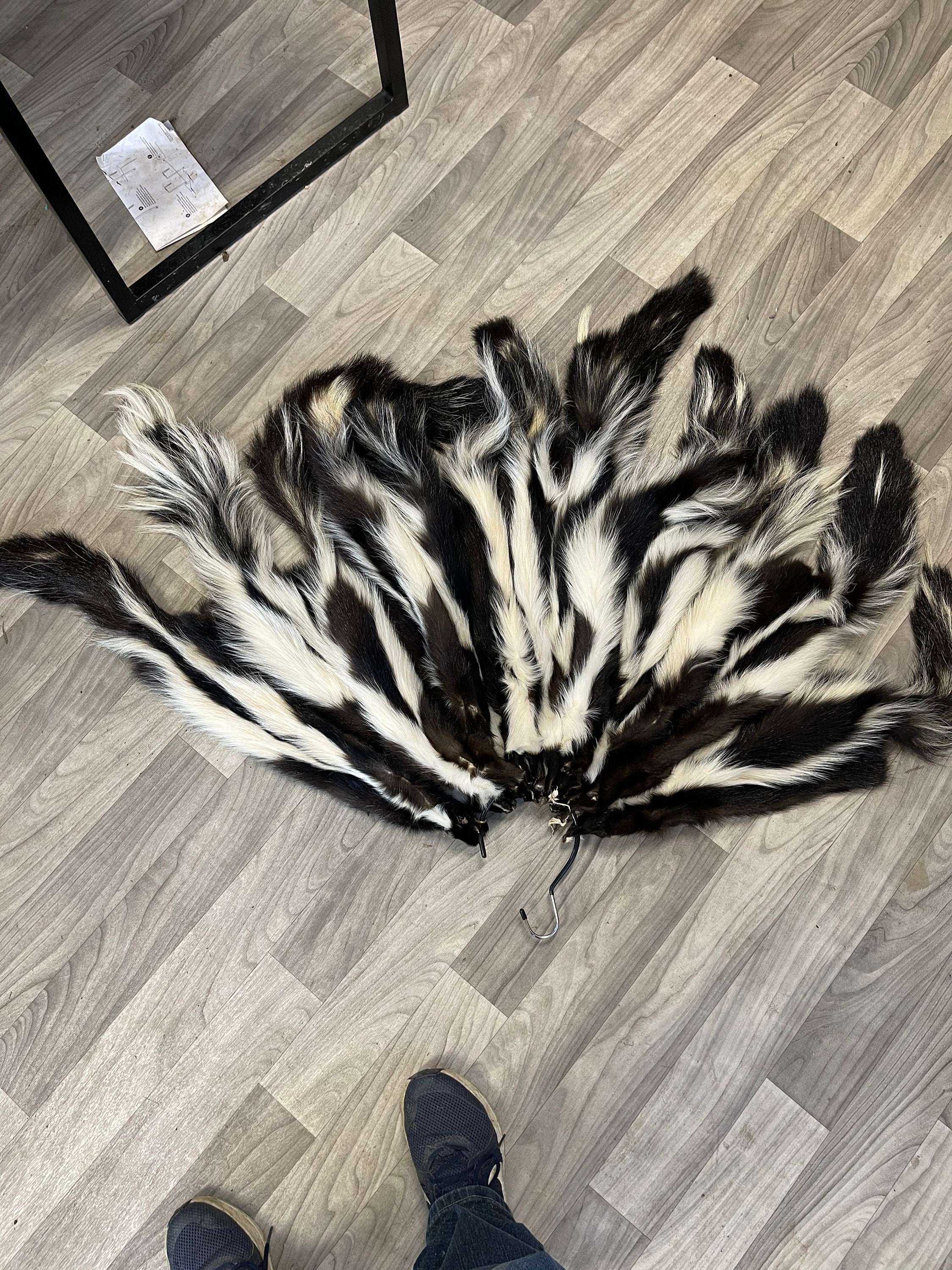 Tanned skunk hide Real fur ethically sourced fur skunk pelt fly tying fur craft