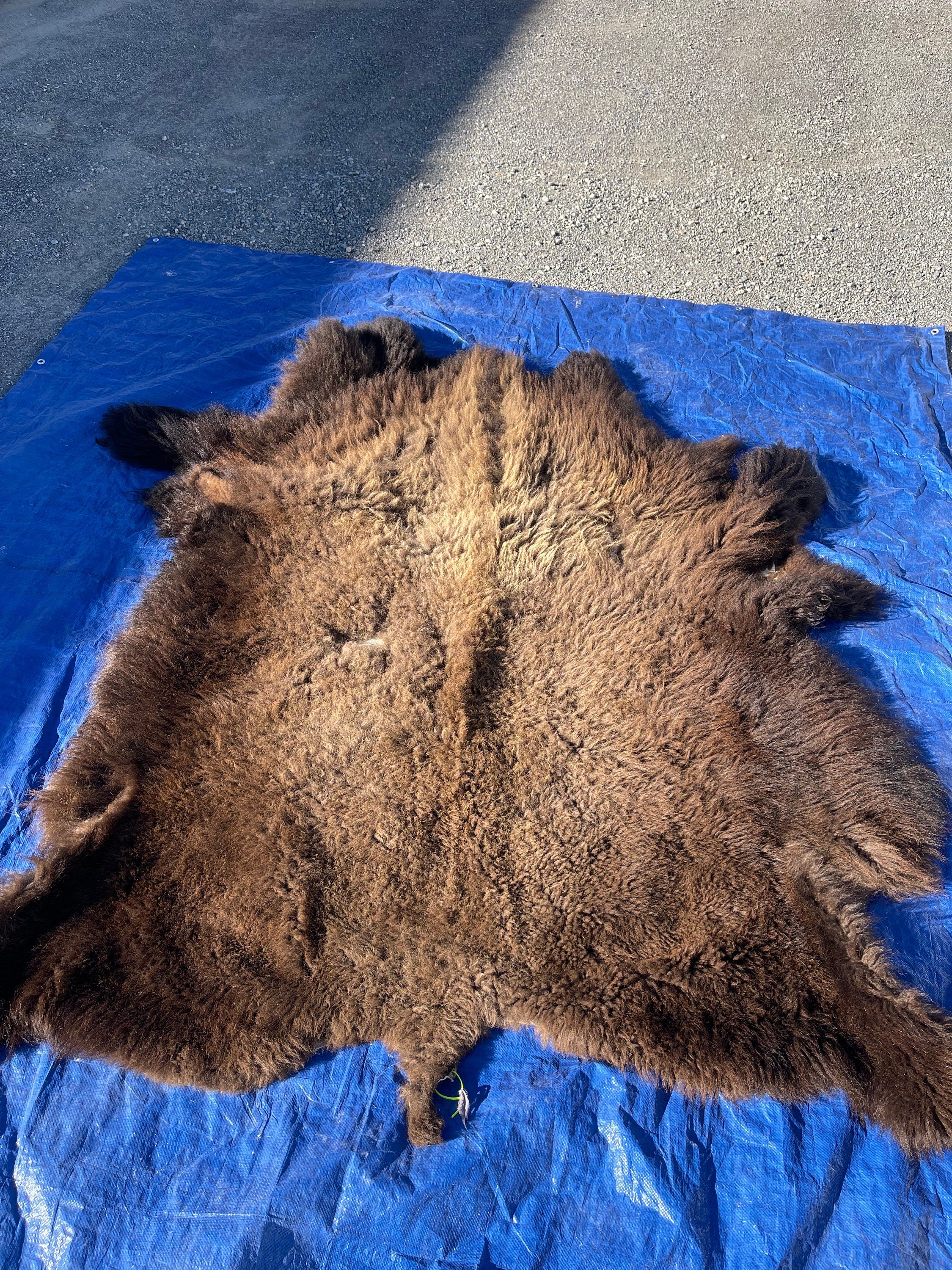 Craft grade Buffalo hide rug soft tanned