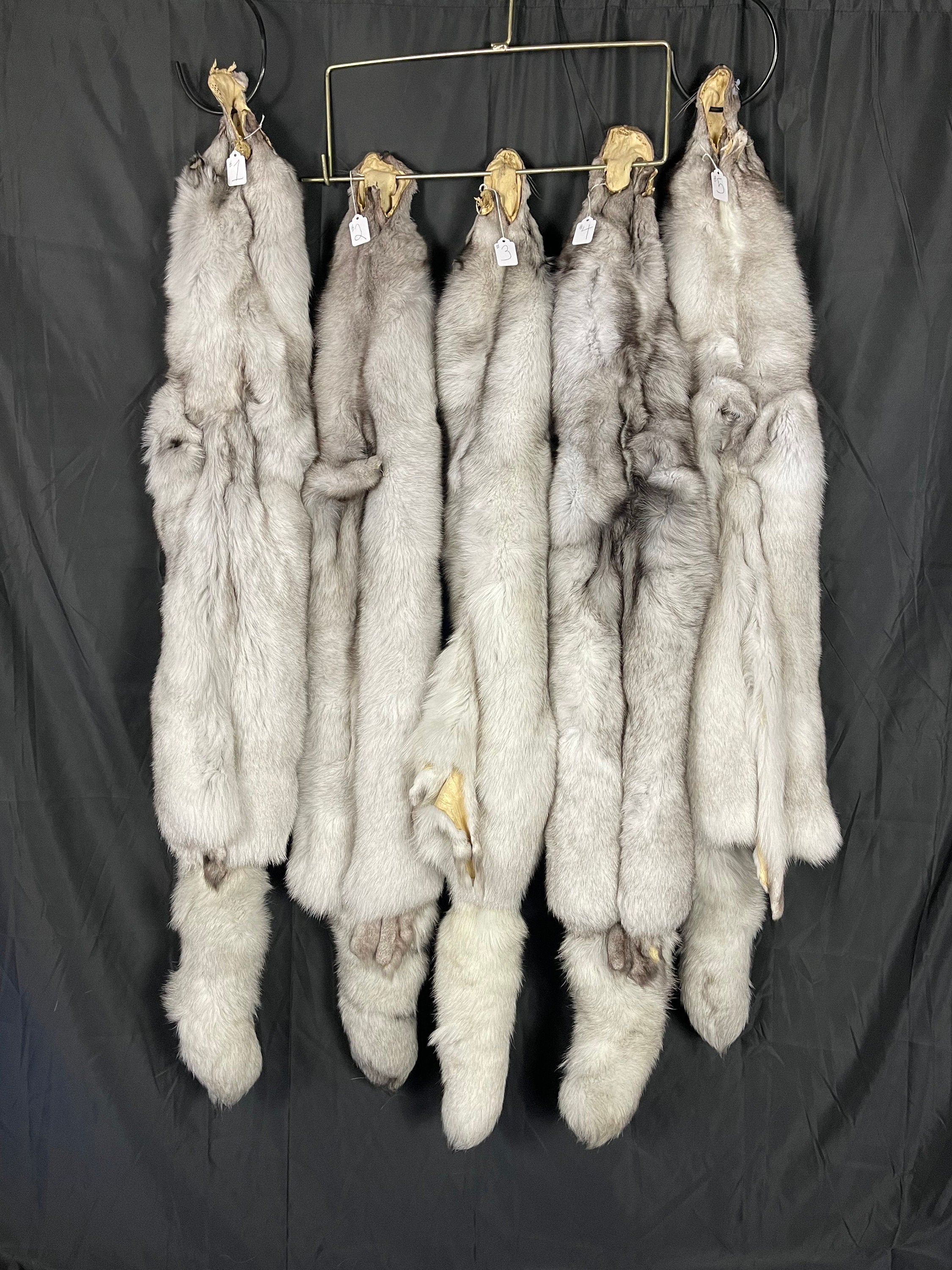 Tanned fox Blue fox soft tanned 3xl real fur