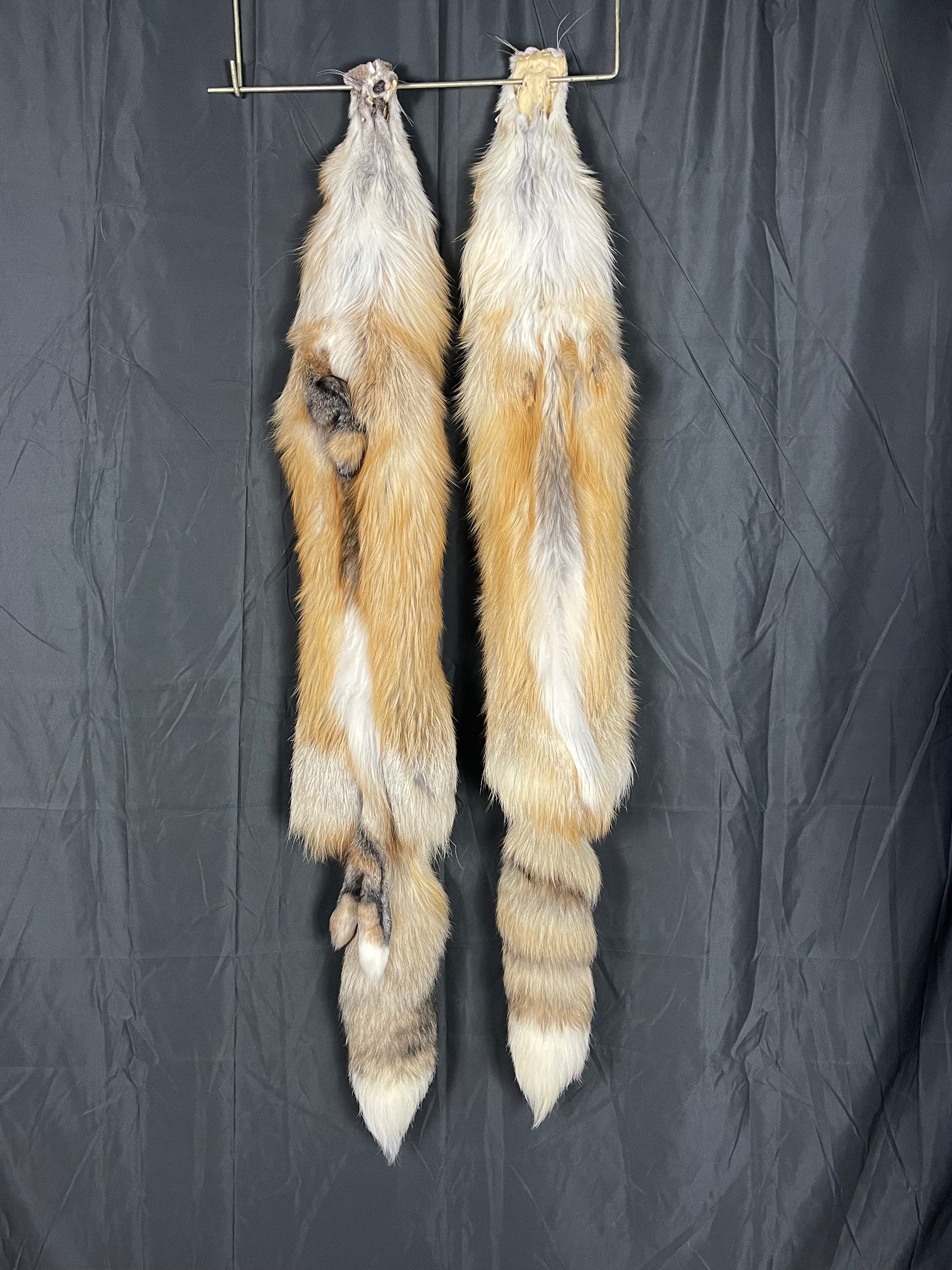 Tanned red fox real fur soft tanned 2xl ranched fur