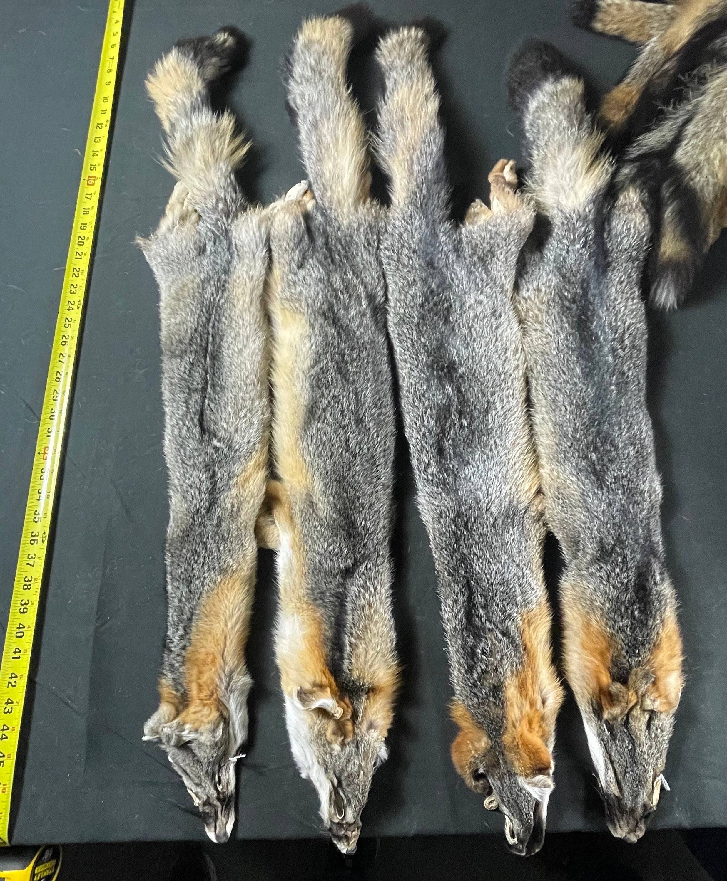 Fox fur tanned real fur grey fox pelt fur wallhanger decor