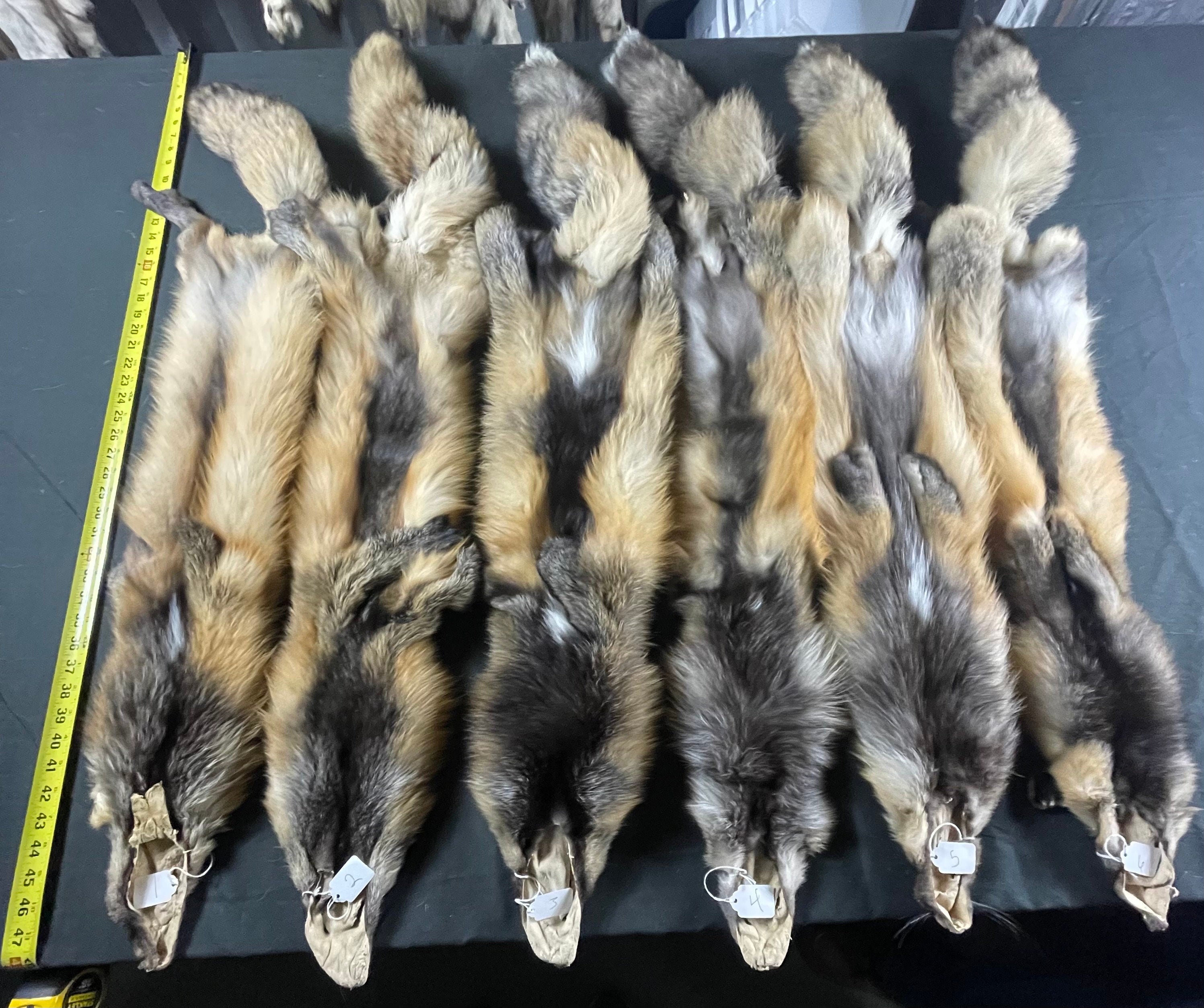 Premium Tanned wild cross fox soft tanned