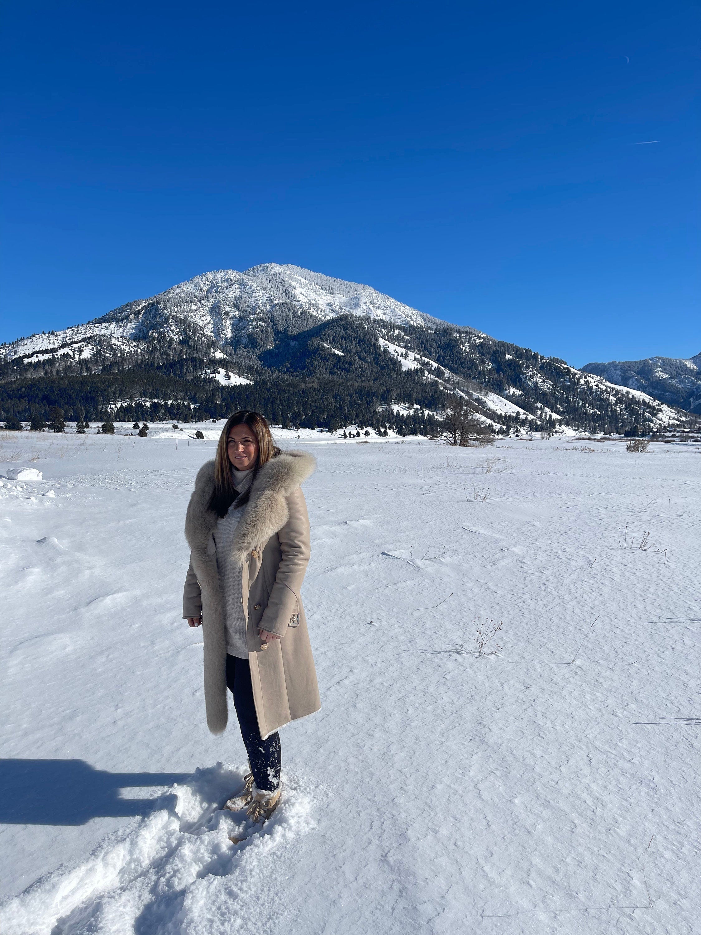 Shearling stroller with fox trim
