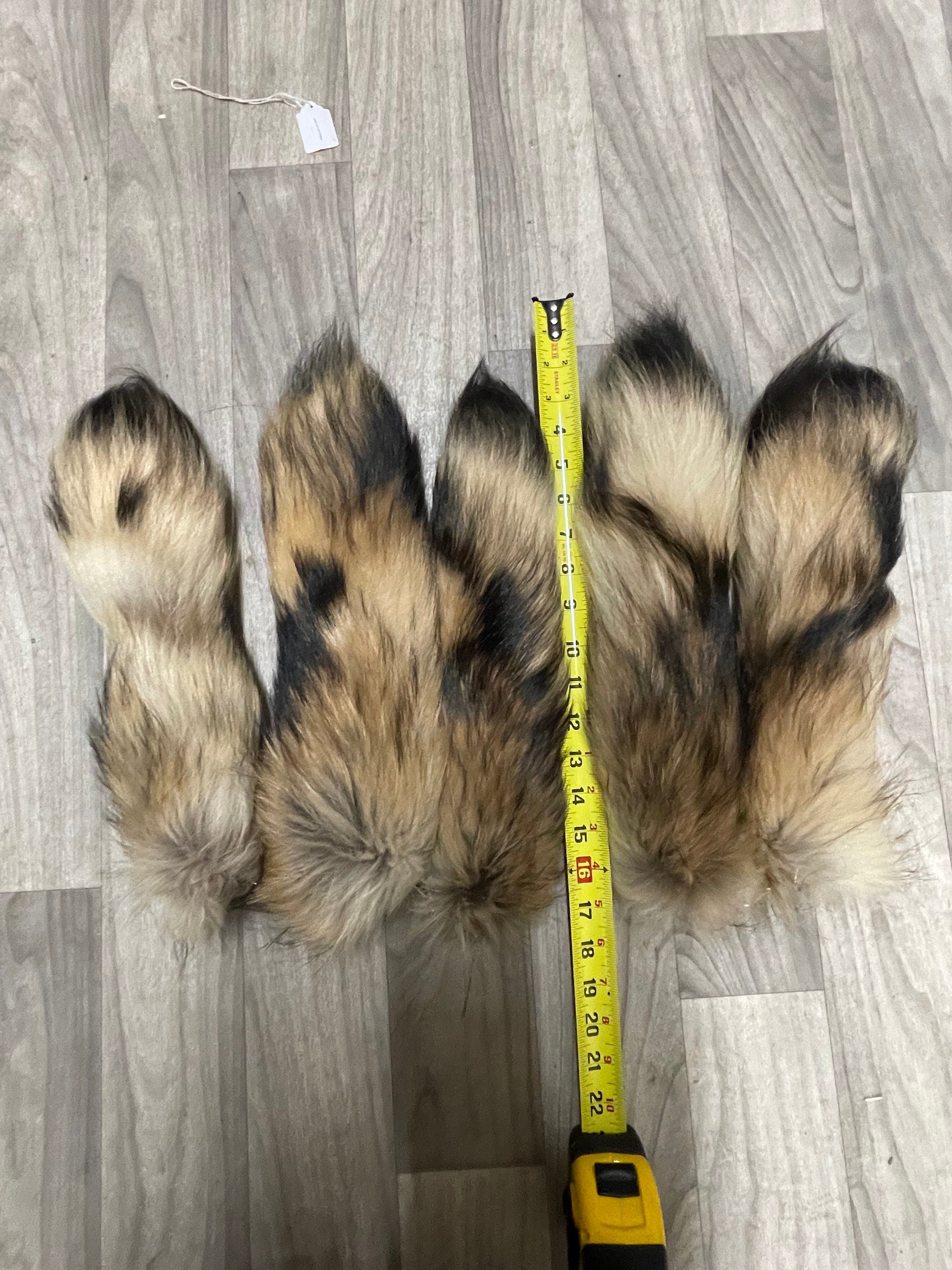 Finn raccoon tail keychain tanuki  tail keychain real fur accessory ethically sourced tail gift idea