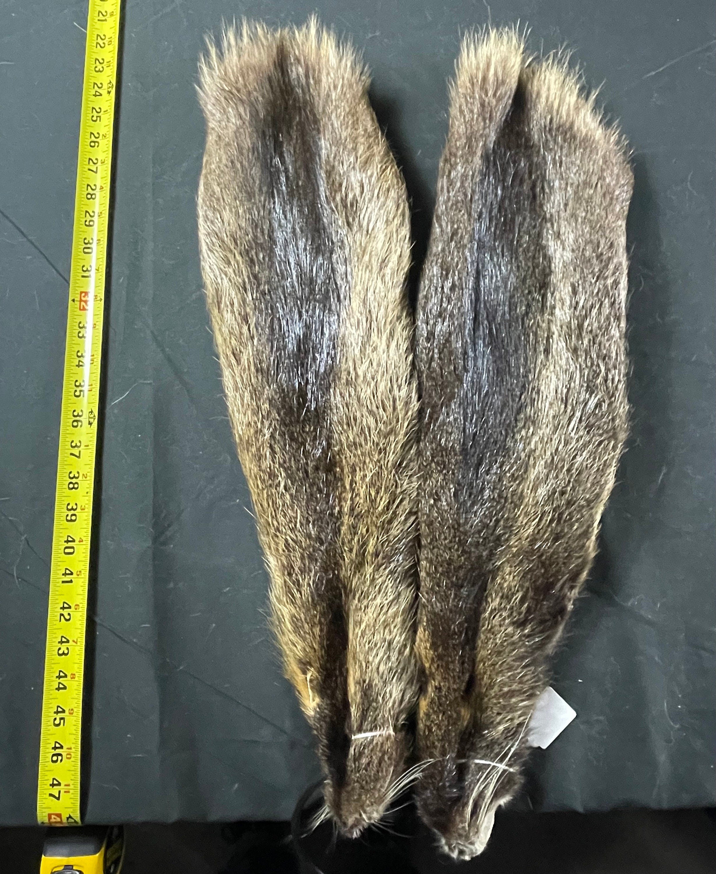 Tanned nutria hide. Soft tanned great quality XL