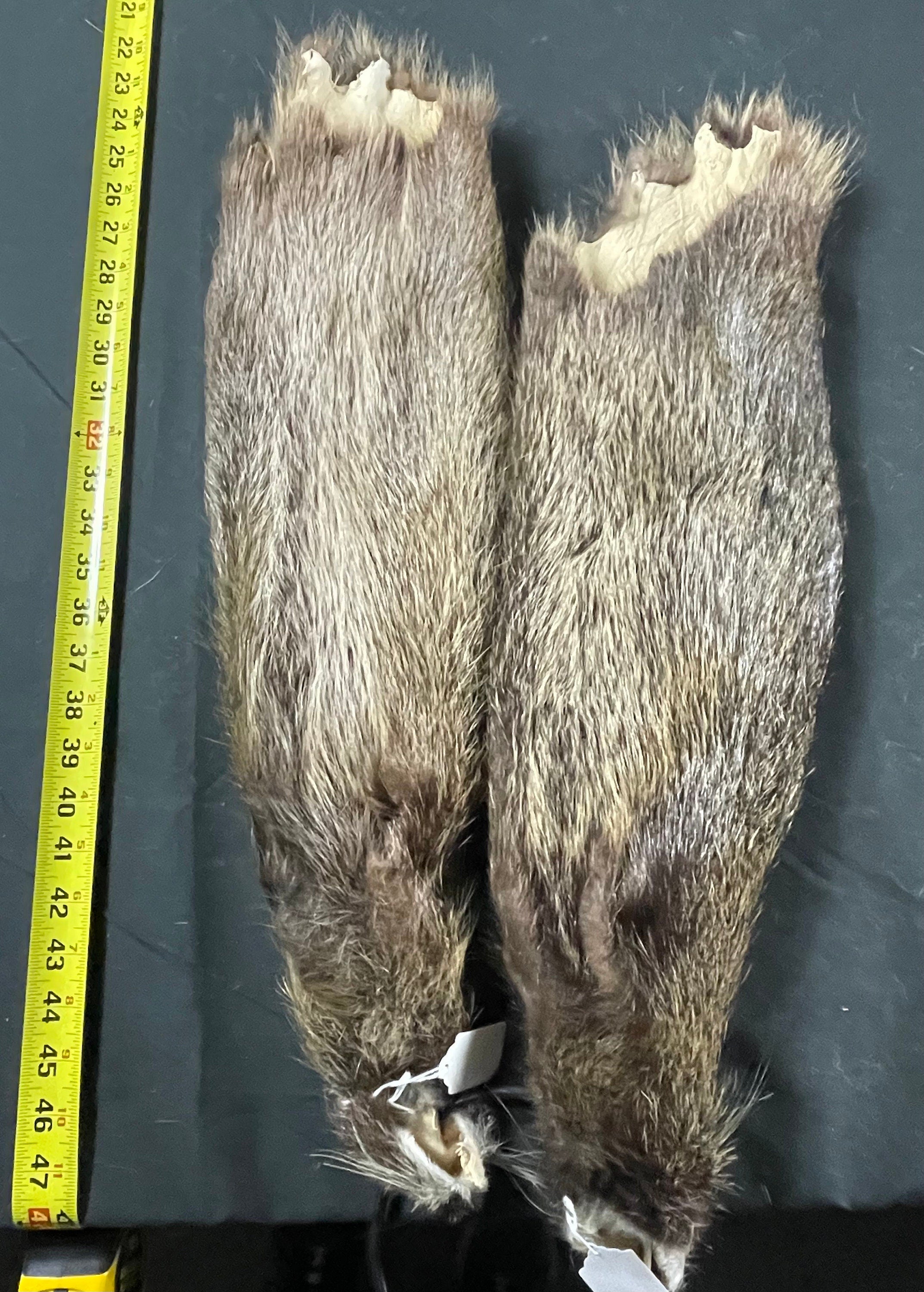 Tanned nutria hide. Soft tanned great quality XL
