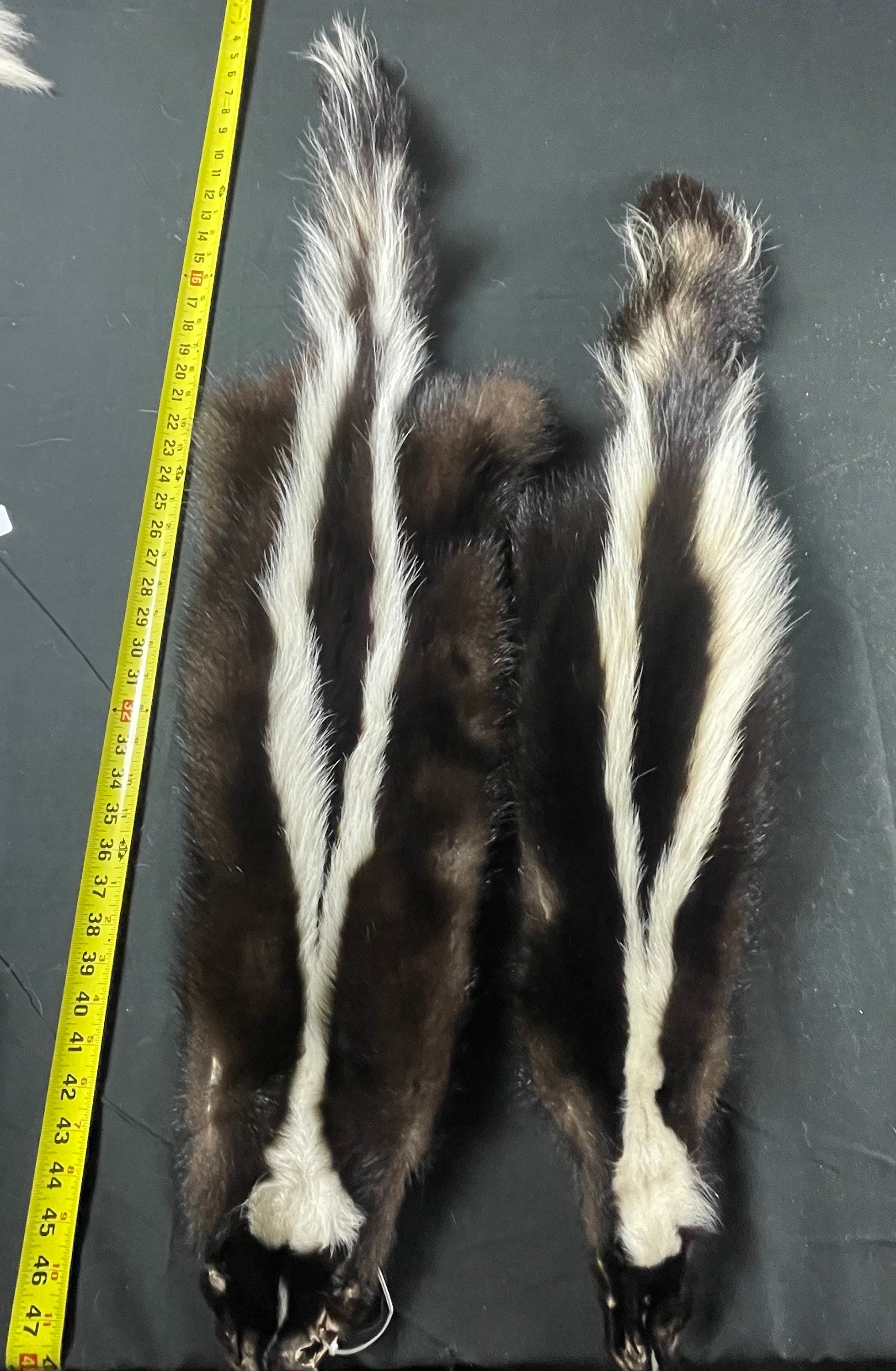Tanned skunk hide Real fur ethically sourced fur skunk pelt fly tying fur craft
