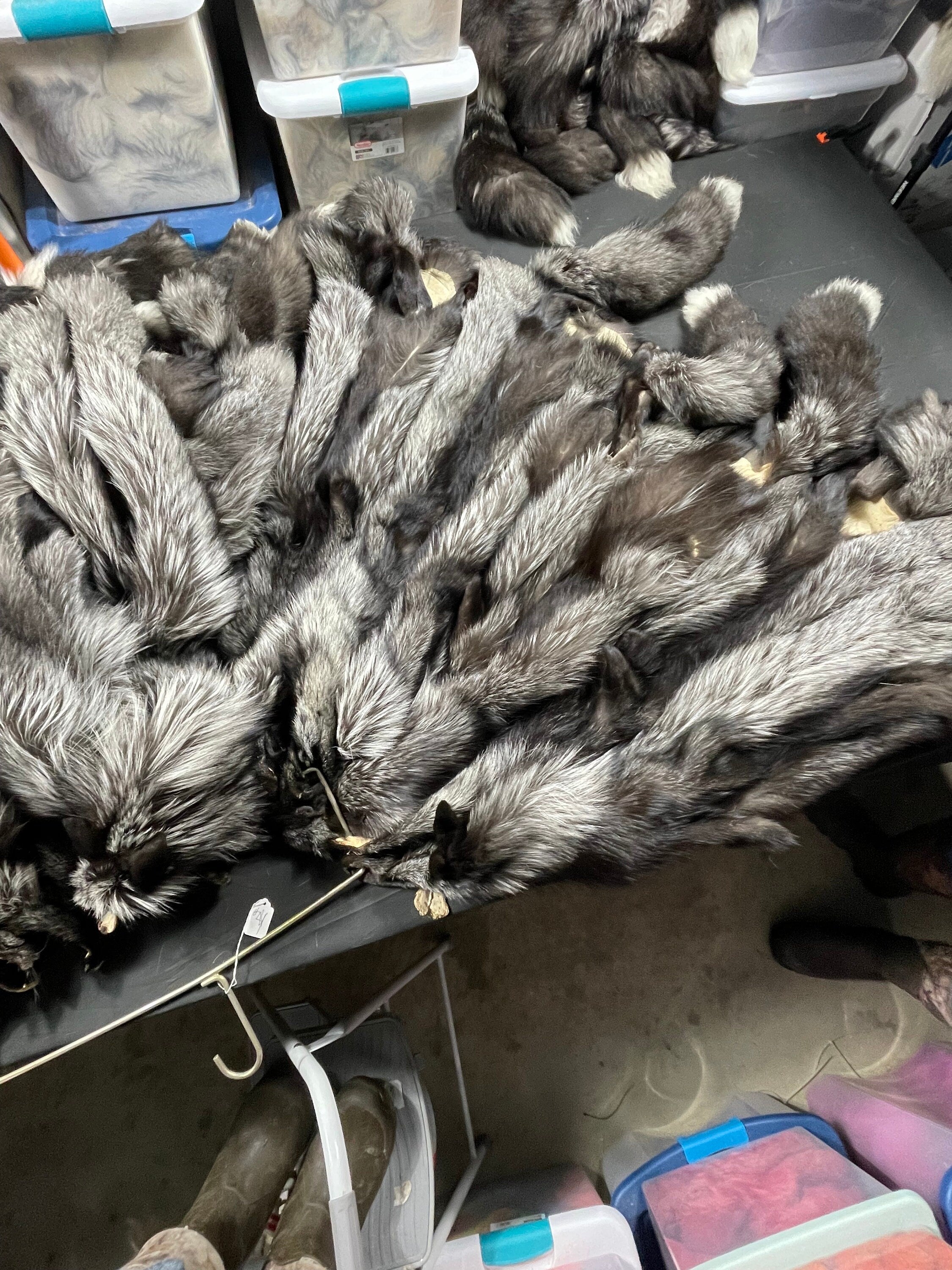 Tanned fox Silver fox soft tanned 2xl real fur