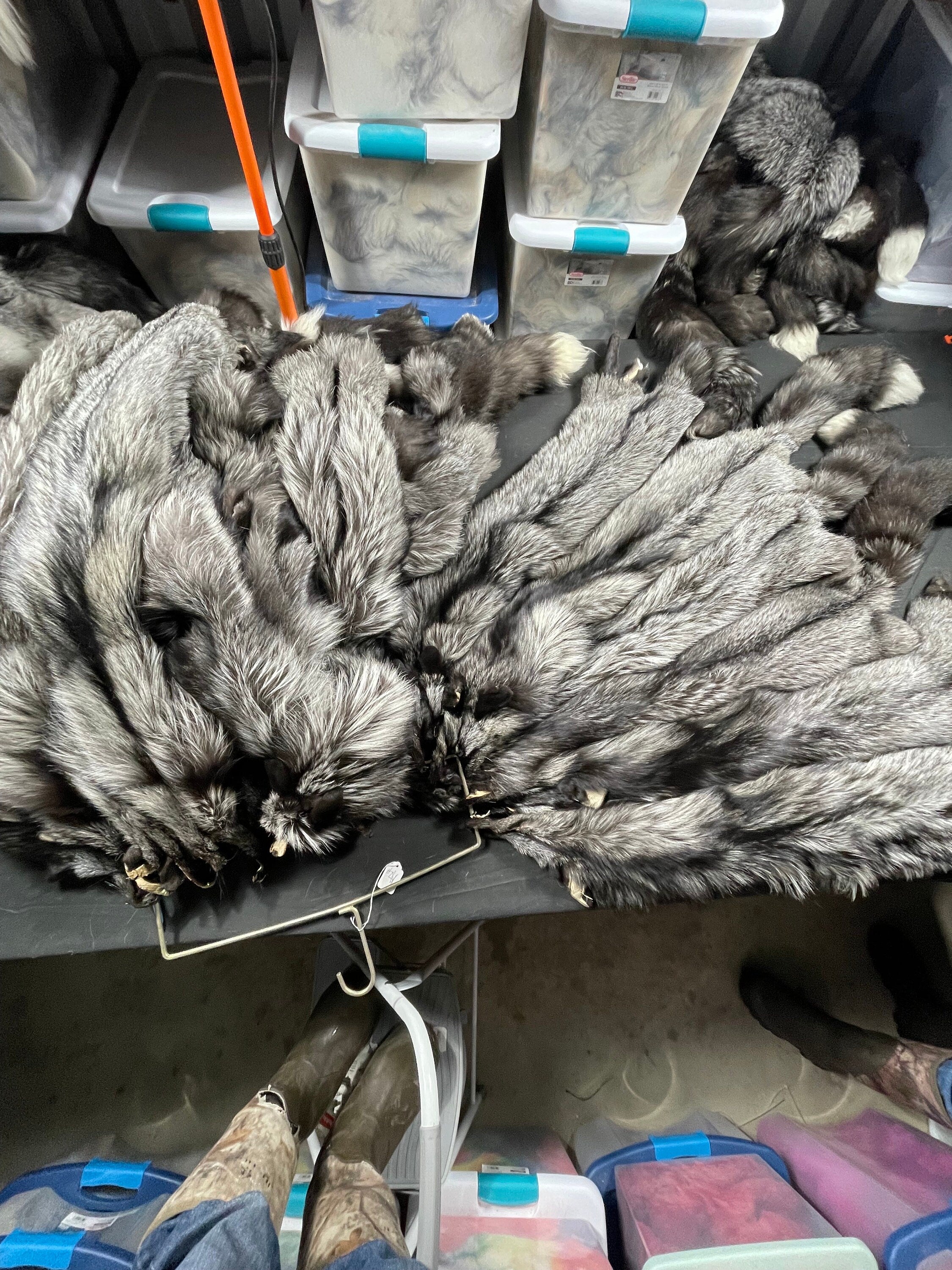 Tanned fox Silver fox soft tanned 2xl real fur