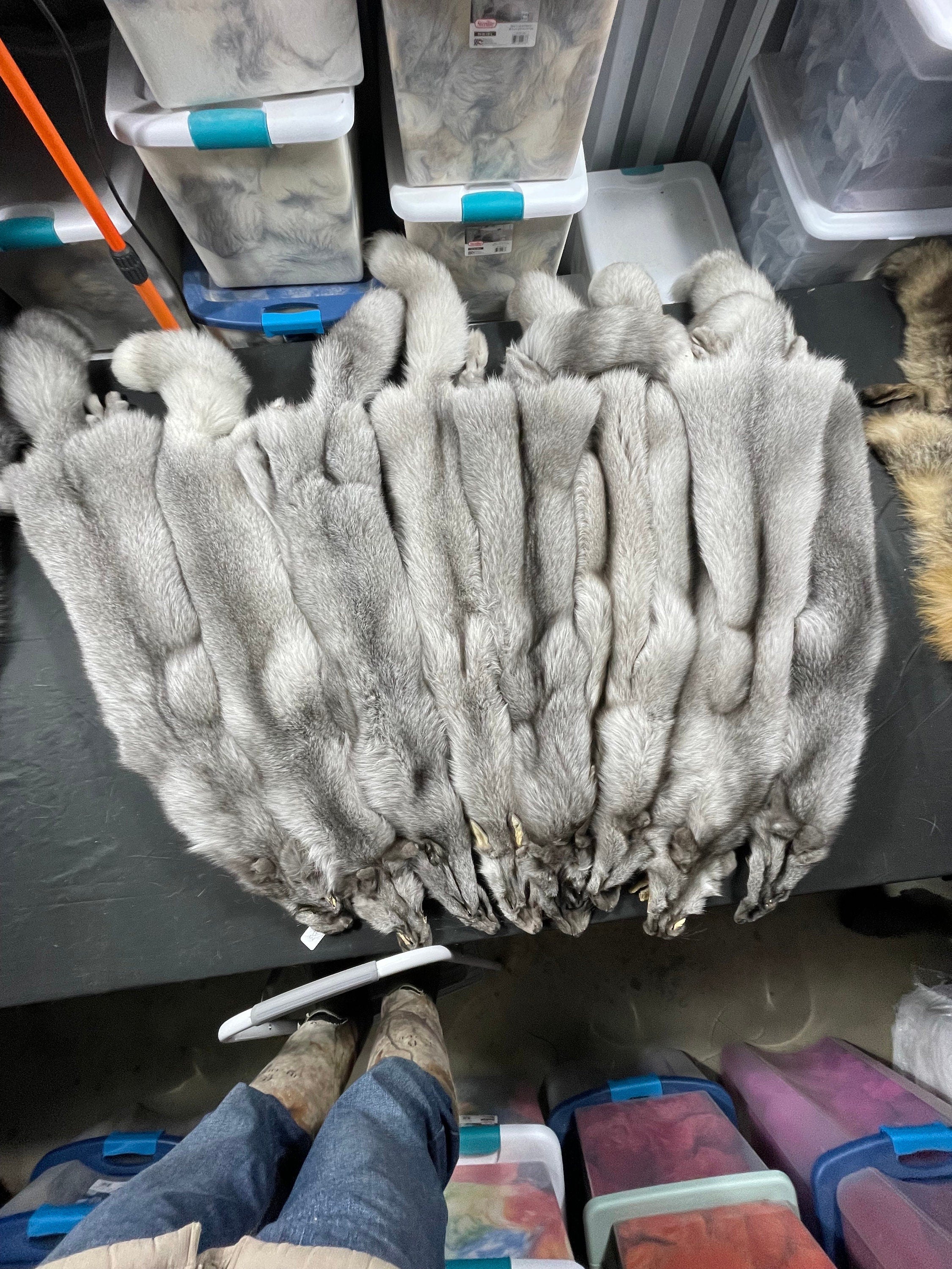 Tanned fox sapphire frost fox soft tanned 2xl/xl real fur