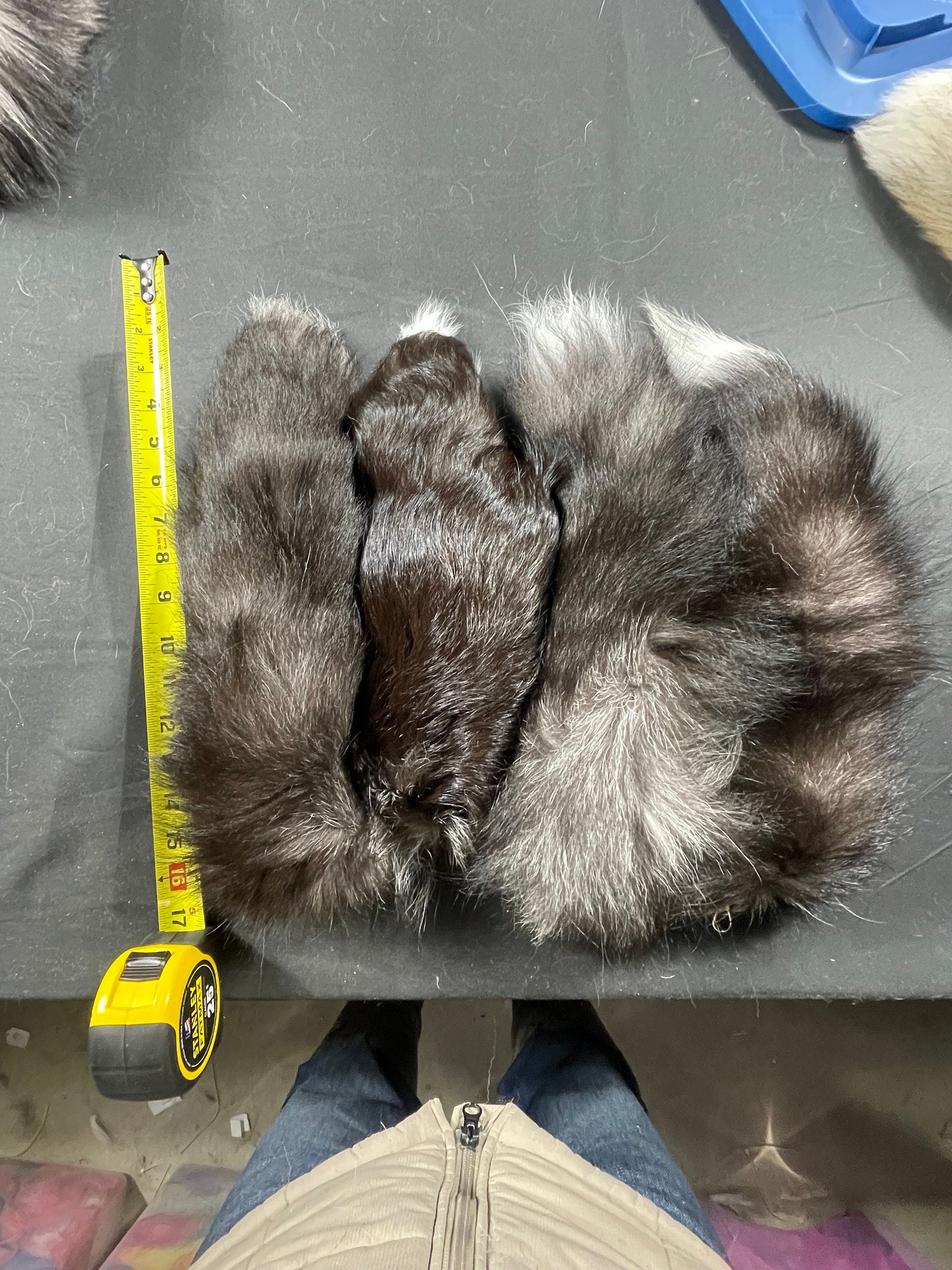Fox tail keychain silver fox tail Indigo fox tail keychain real fur ethically sourced tails