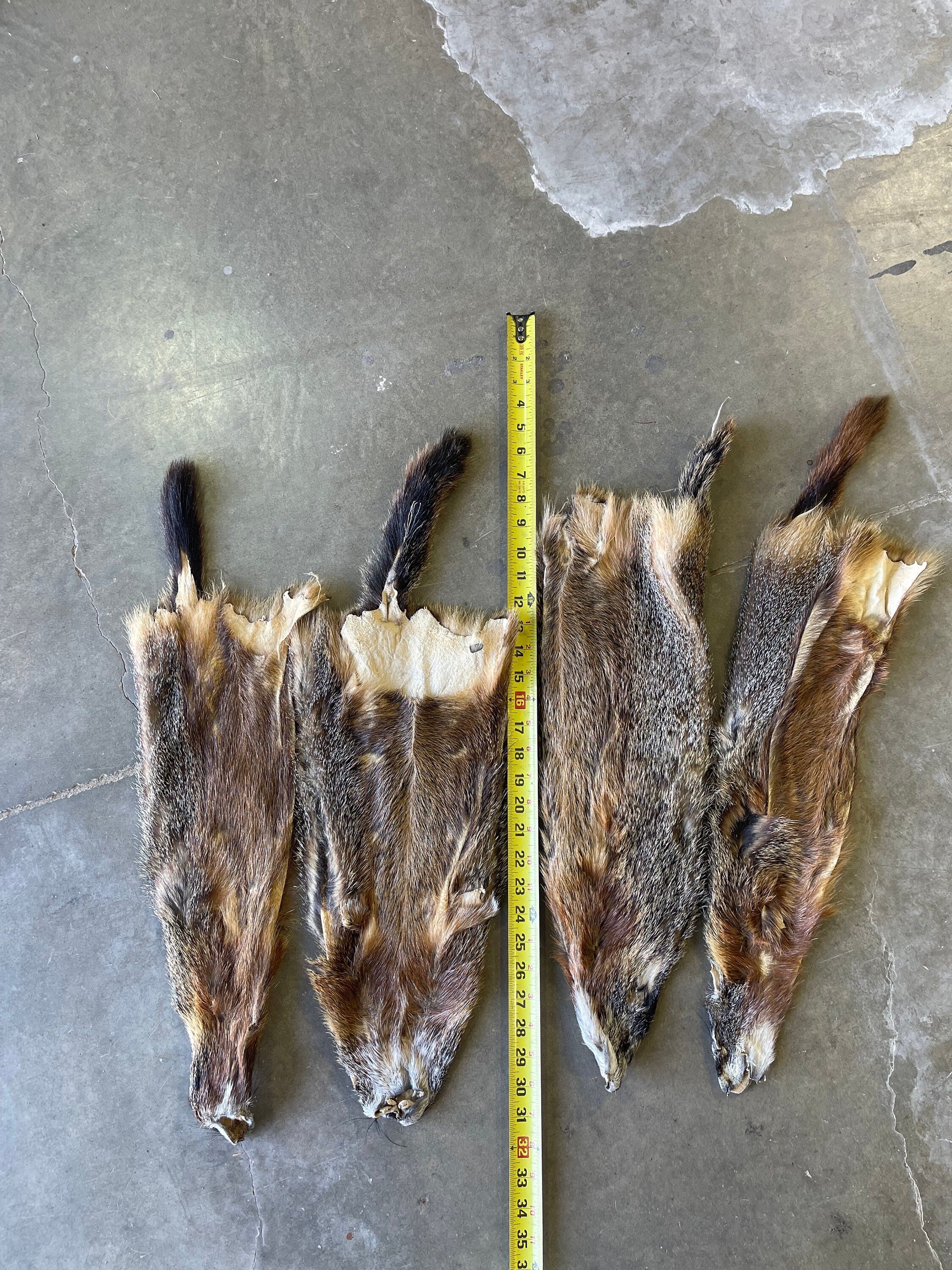 Tanned marmot rockchuck professional soft tanned  fur