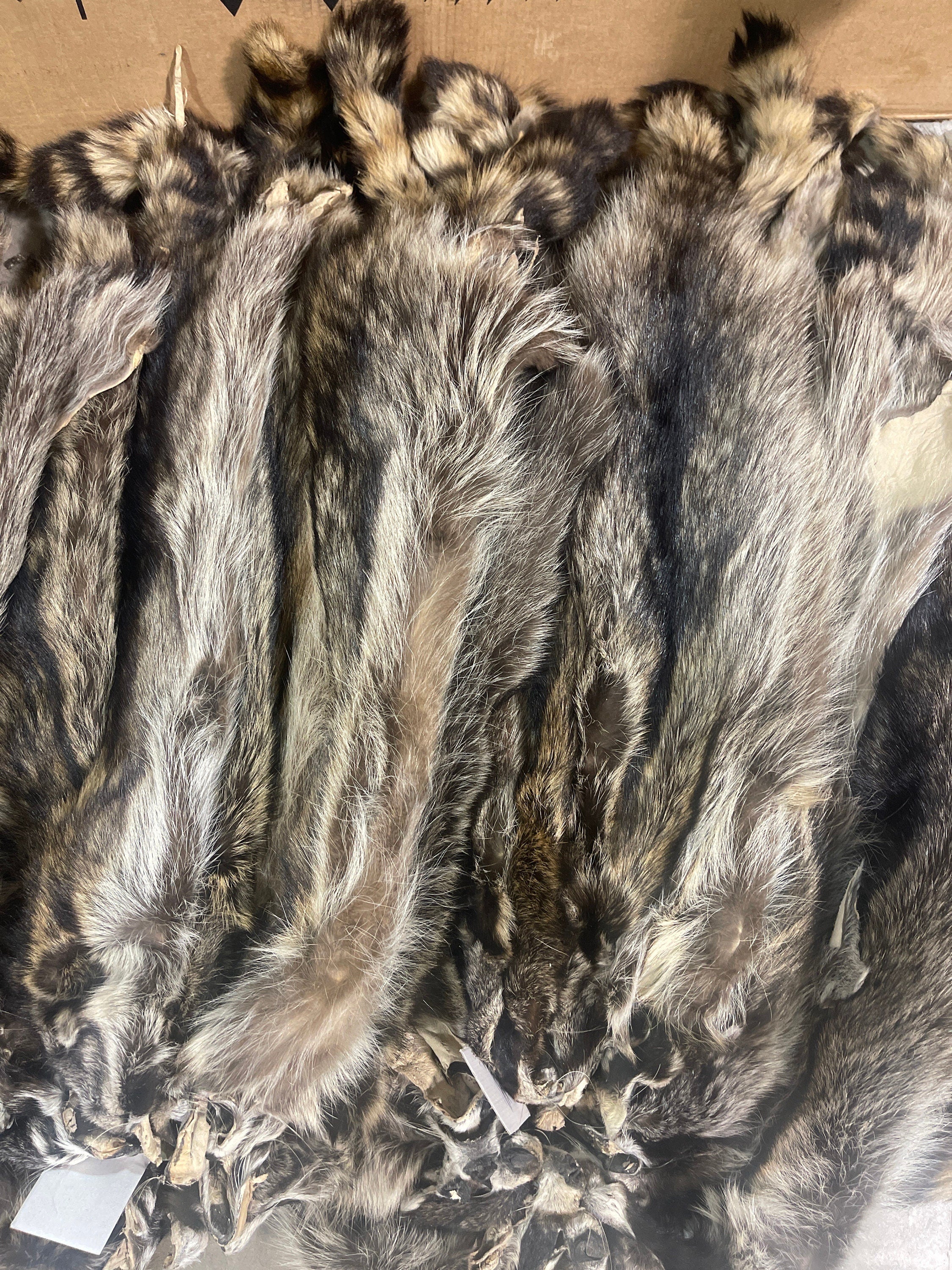 Raccoon hide garment tanned