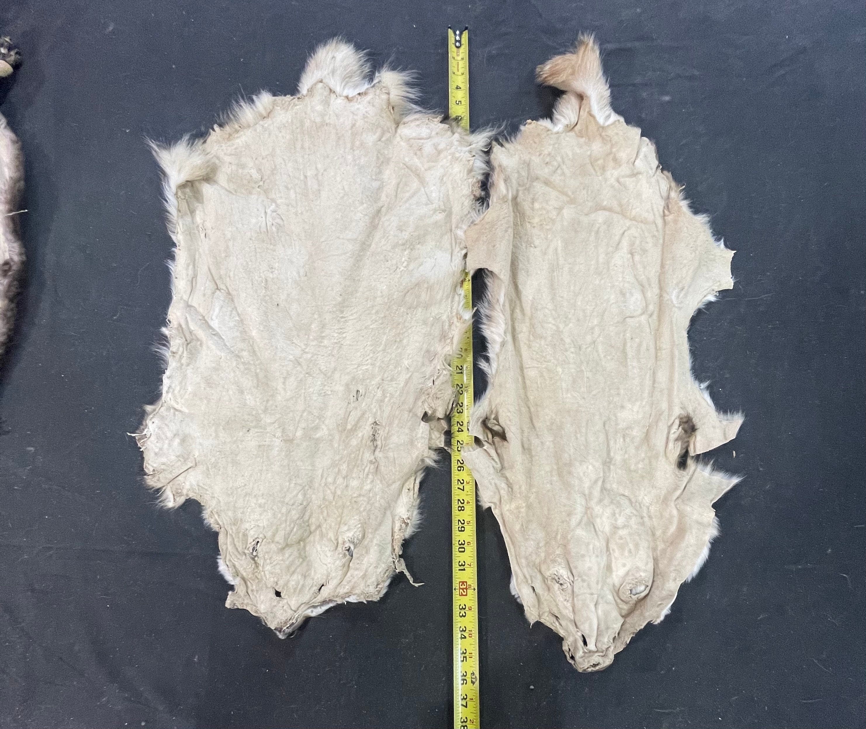 Tanned badger soft tanned hides