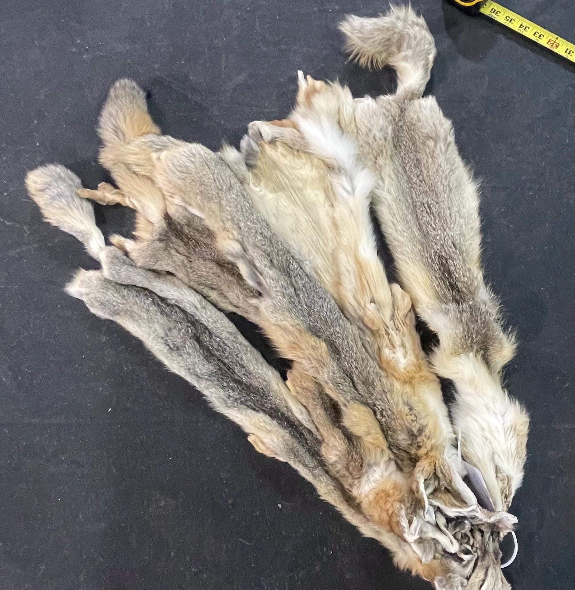 Tanned fox professional soft tanned swift fox silky fur real fur ethically sourced fur