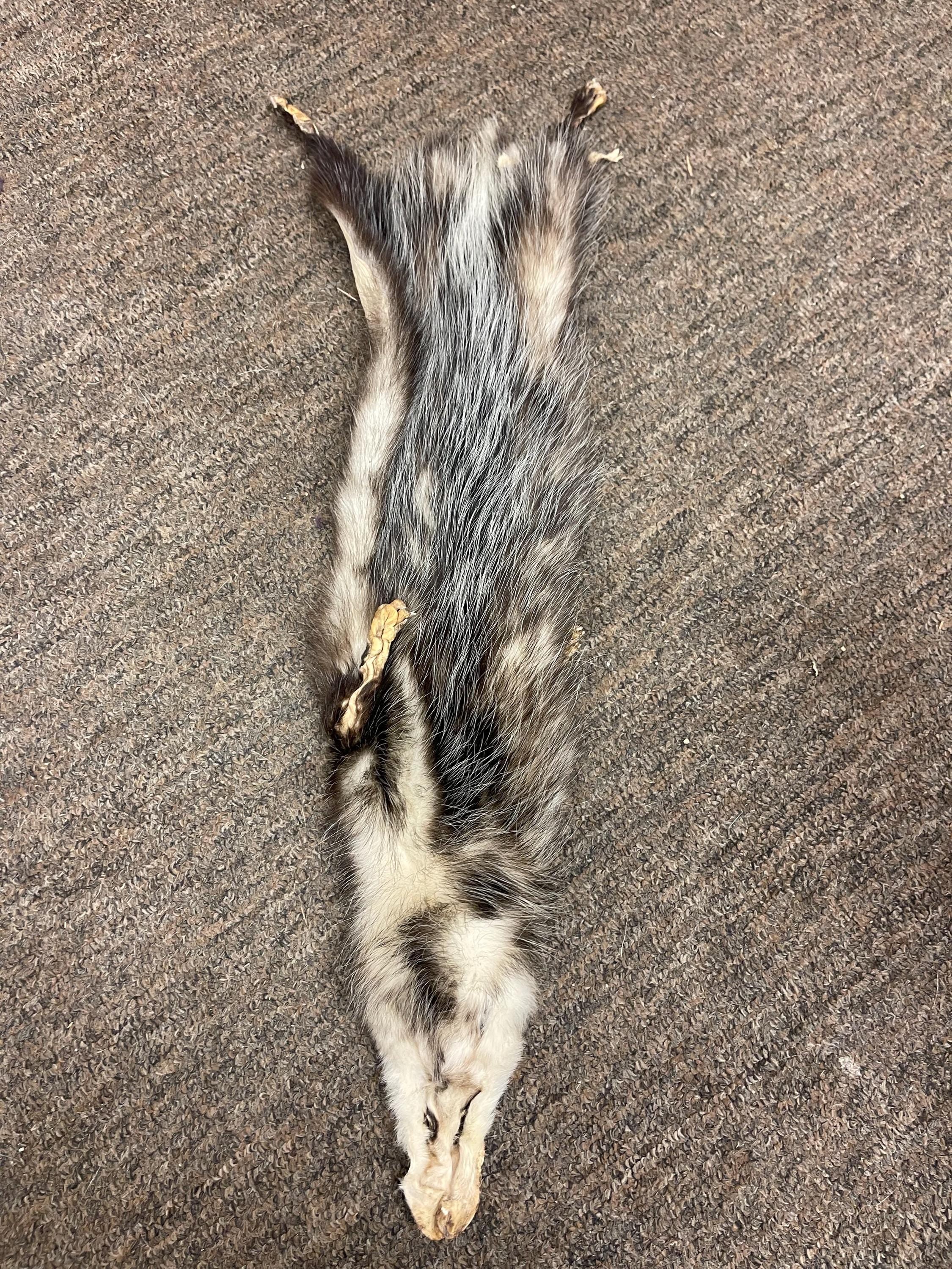 Opossum garment tanned hide