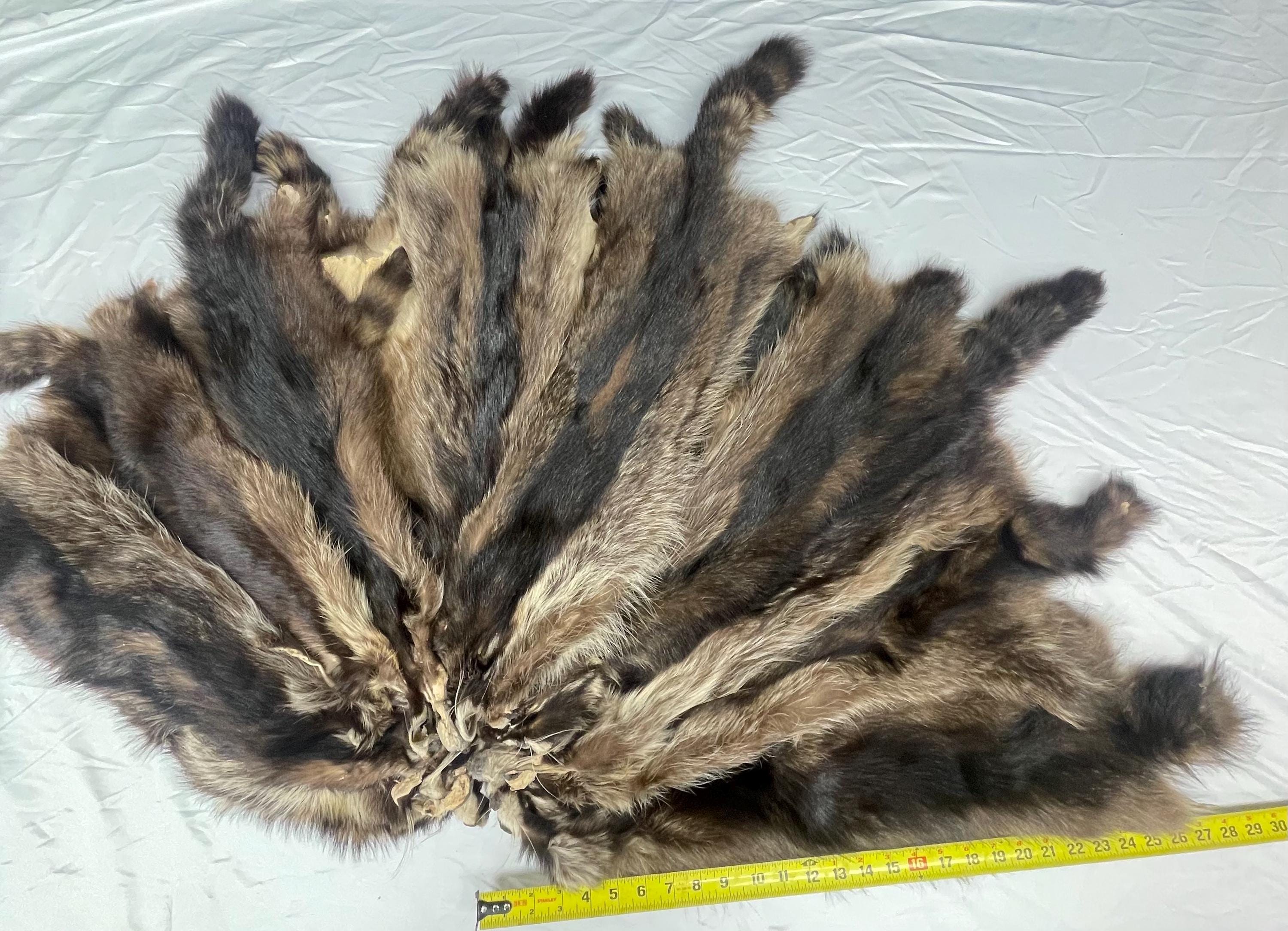 Raccoon pelt black raccoon hide tanned real fur